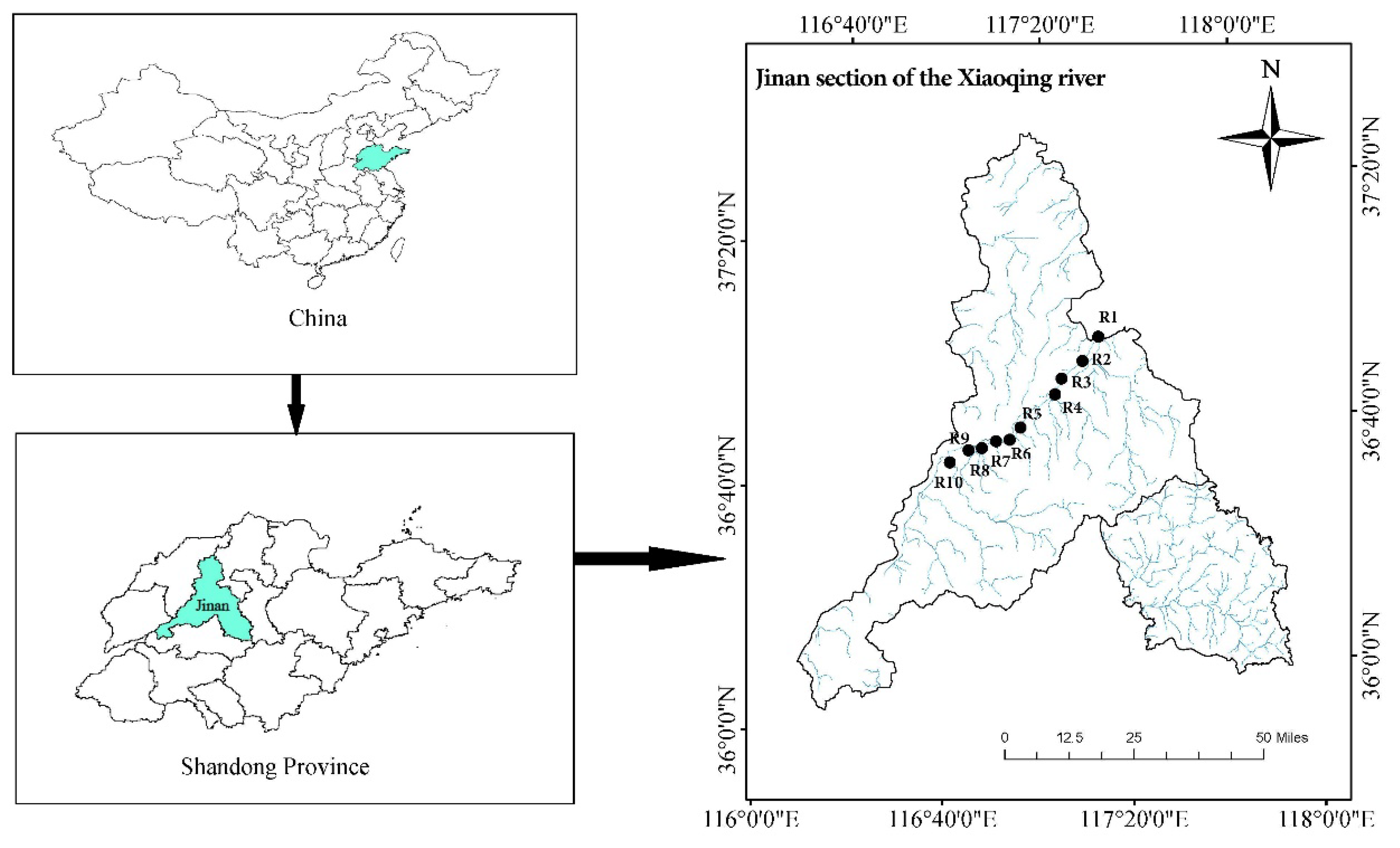 Biology 12 01488 g001