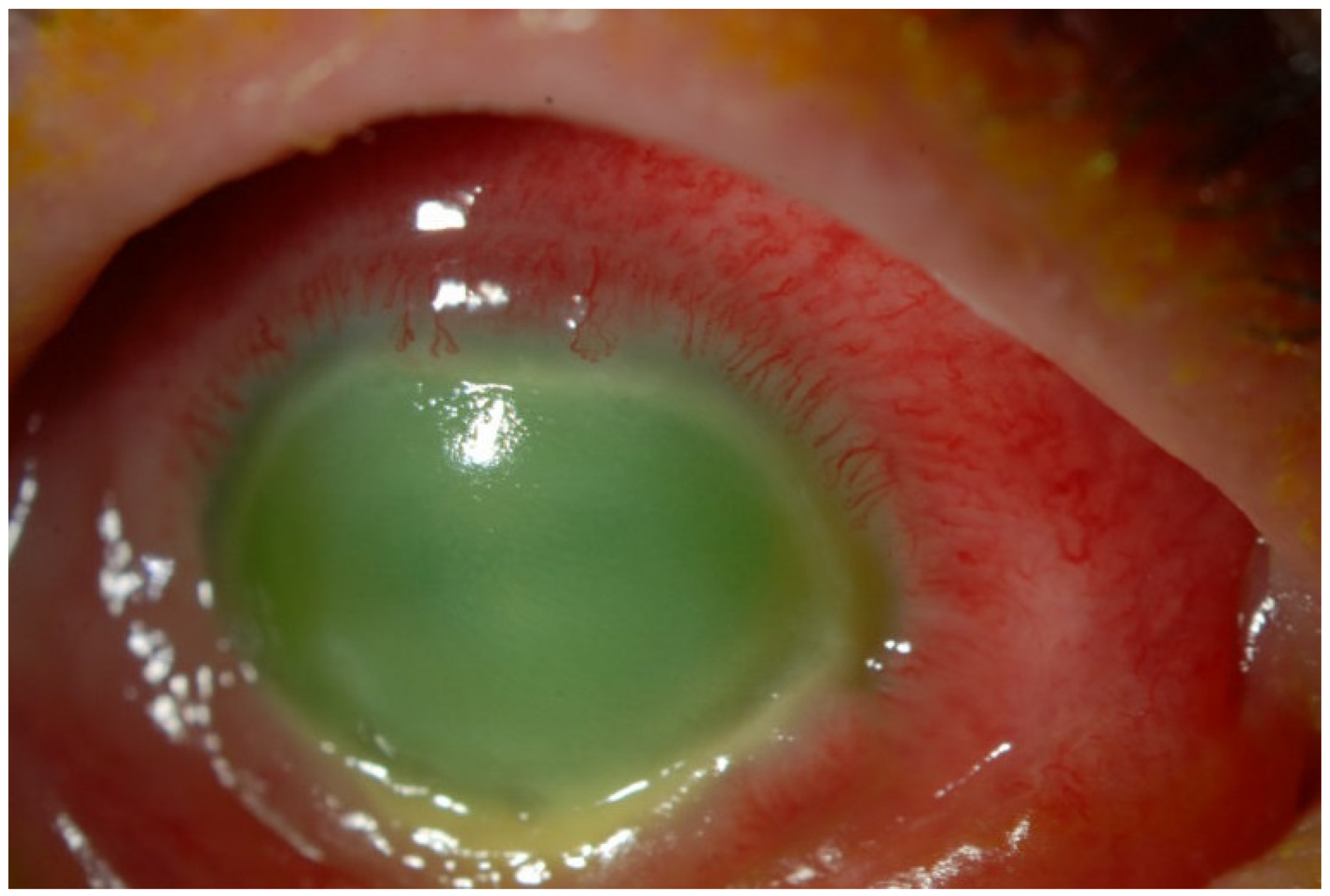 Biology 12 01489 g003