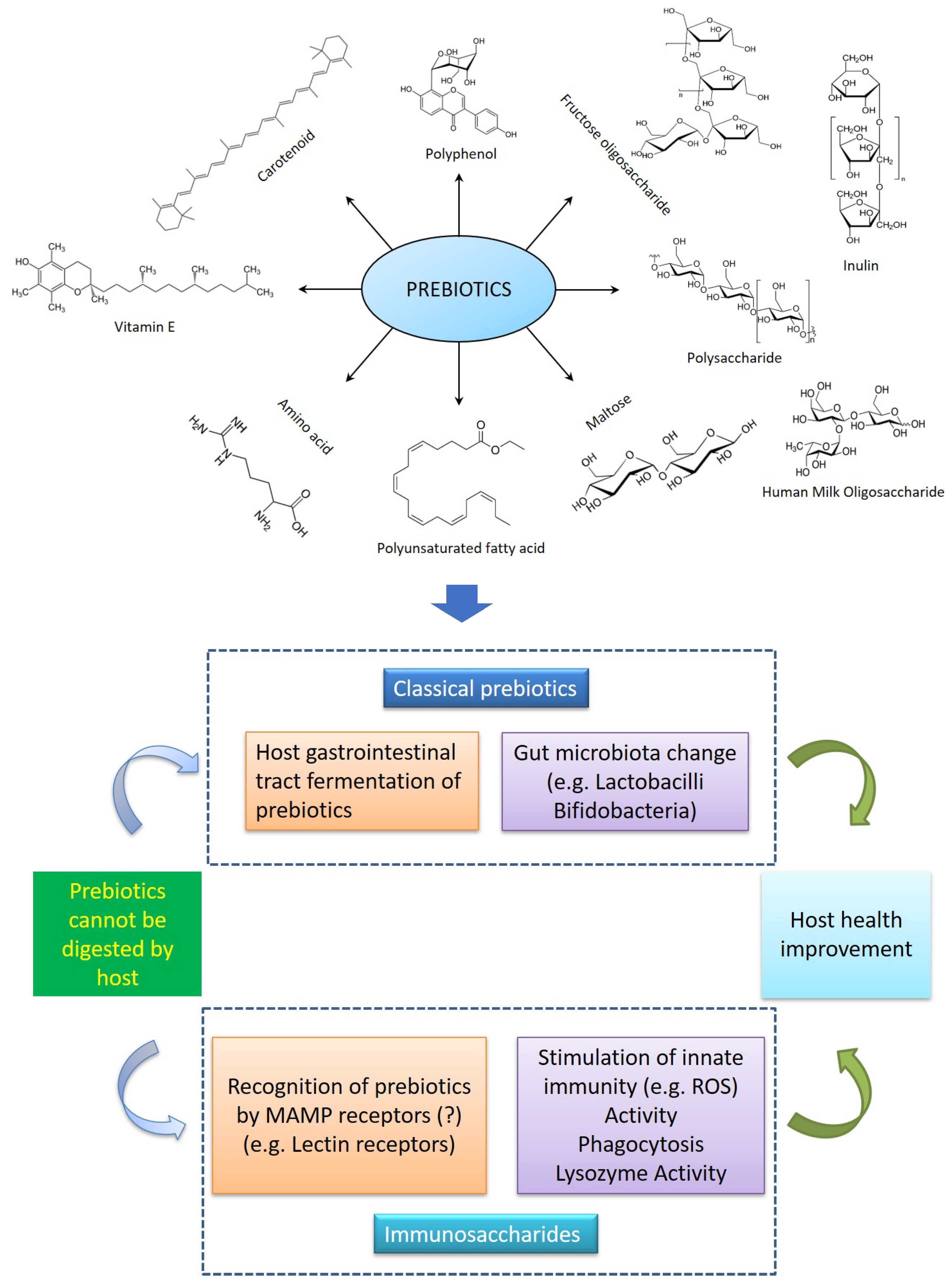 Biology 12 01498 g002 Biology 12 01498 g002