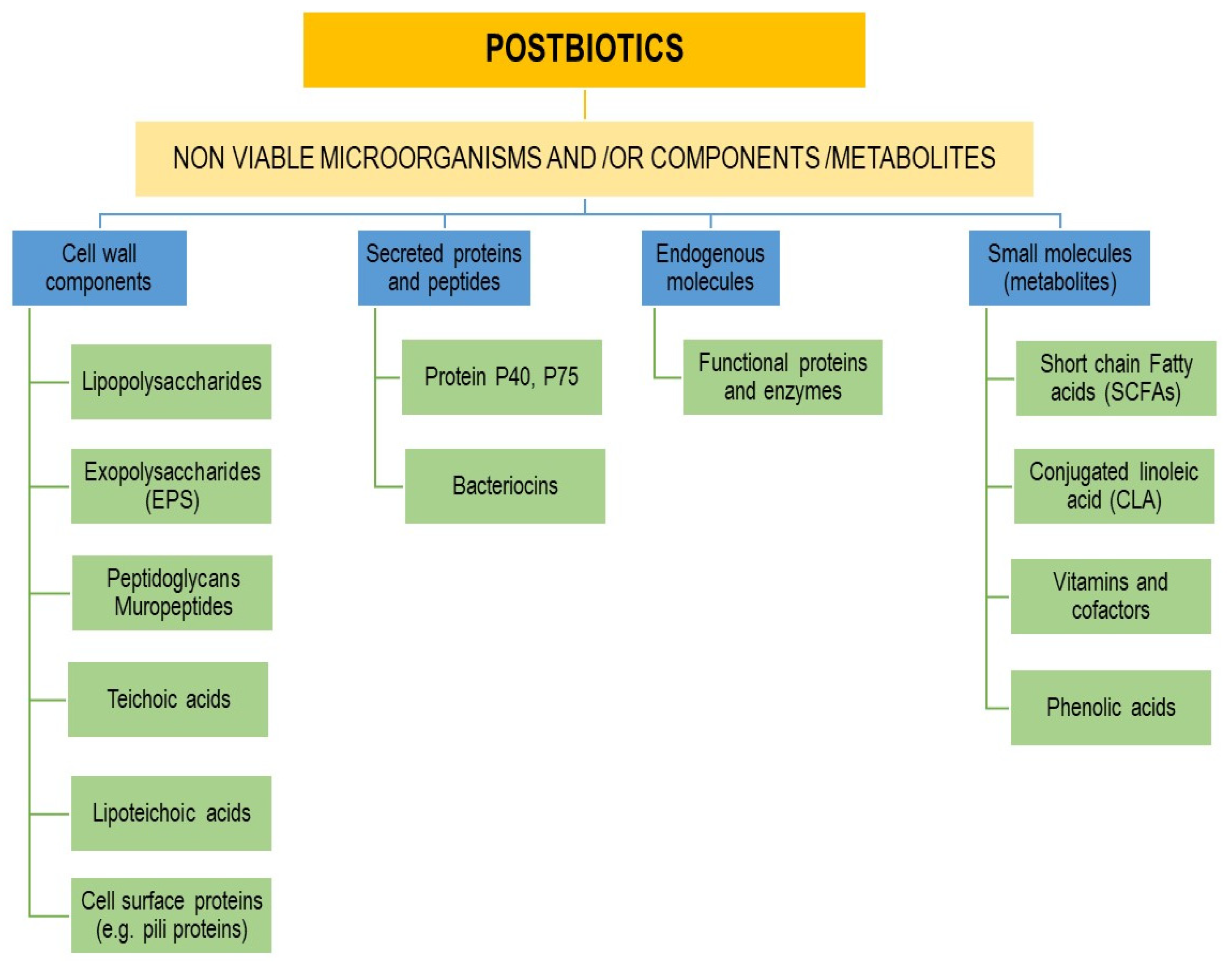 Biology 12 01498 g003 Biology 12 01498 g003