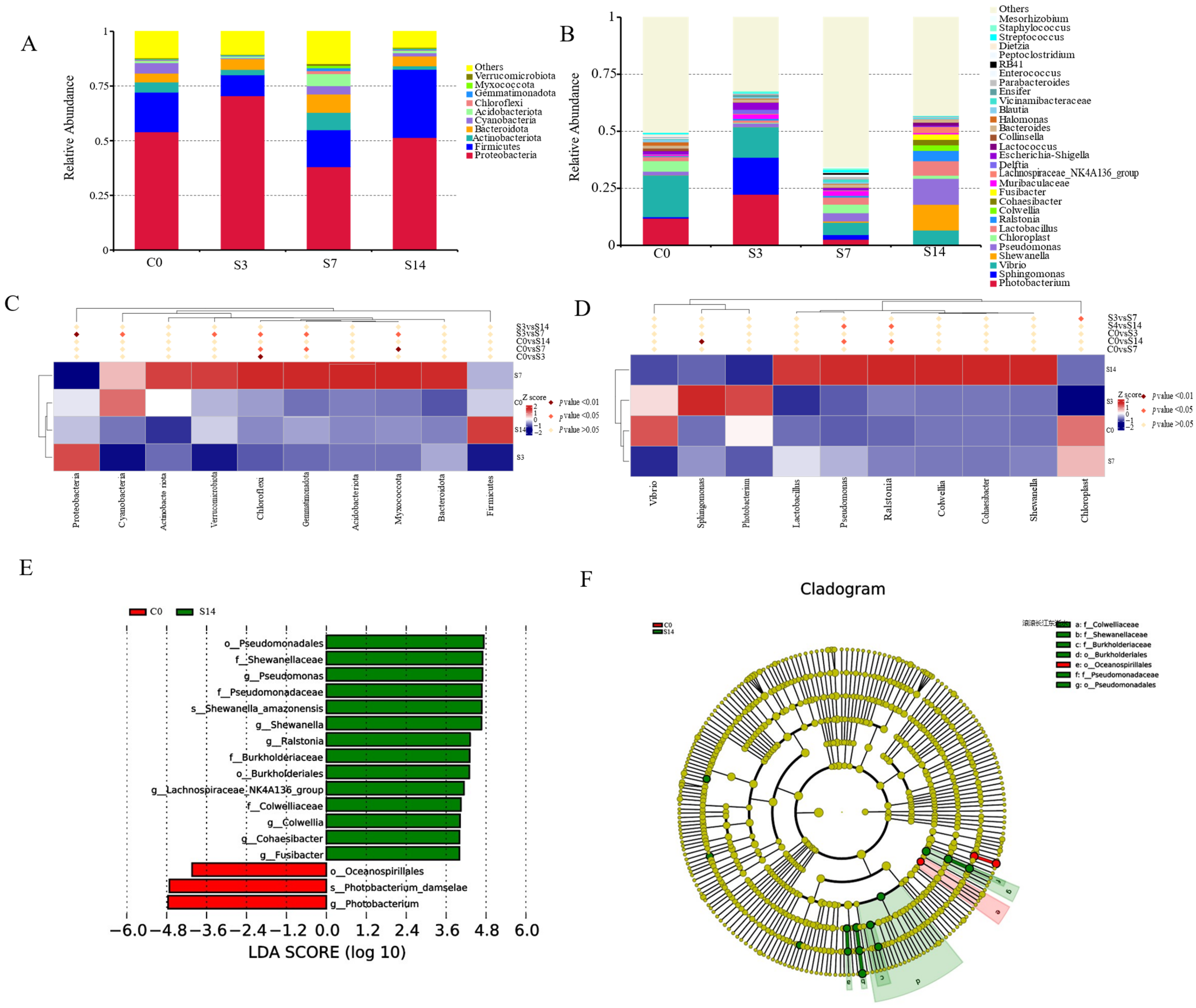 Biology 12 01502 g002