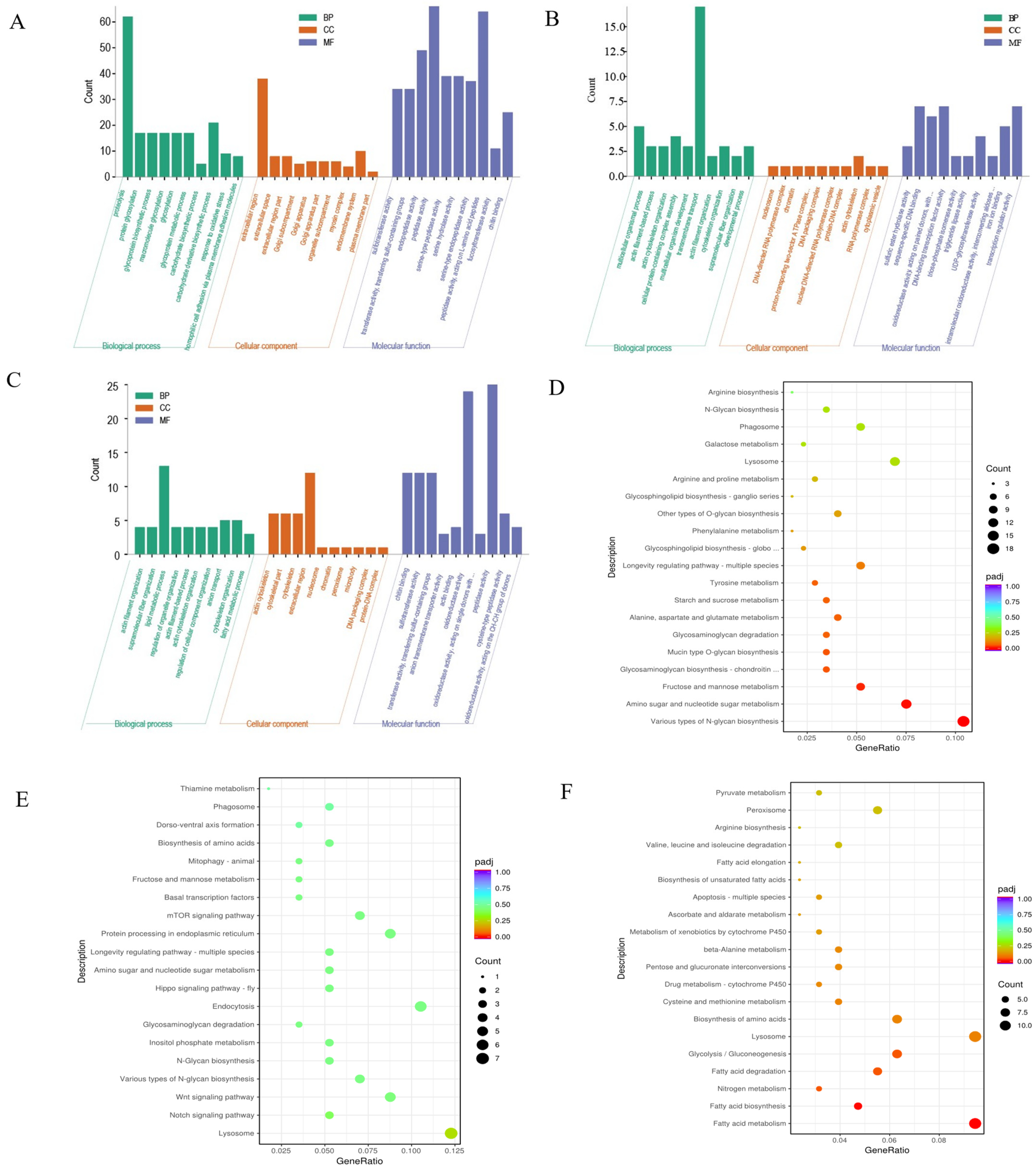 Biology 12 01502 g004
