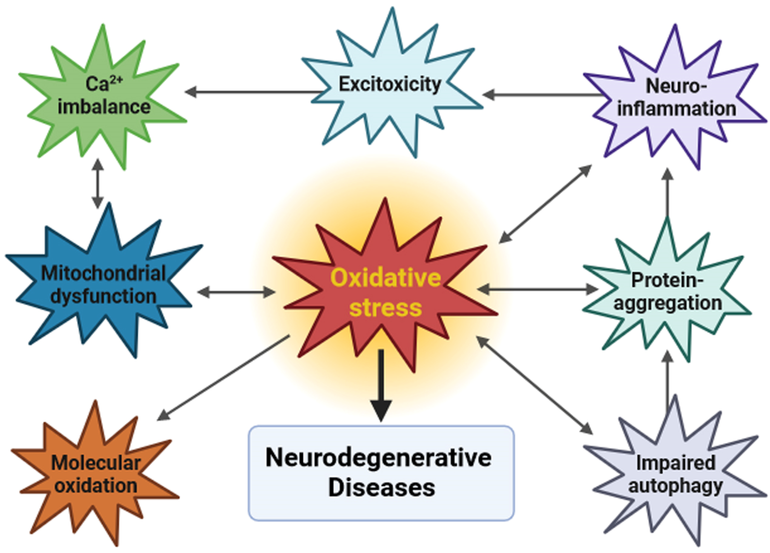 Biology 12 01504 g001