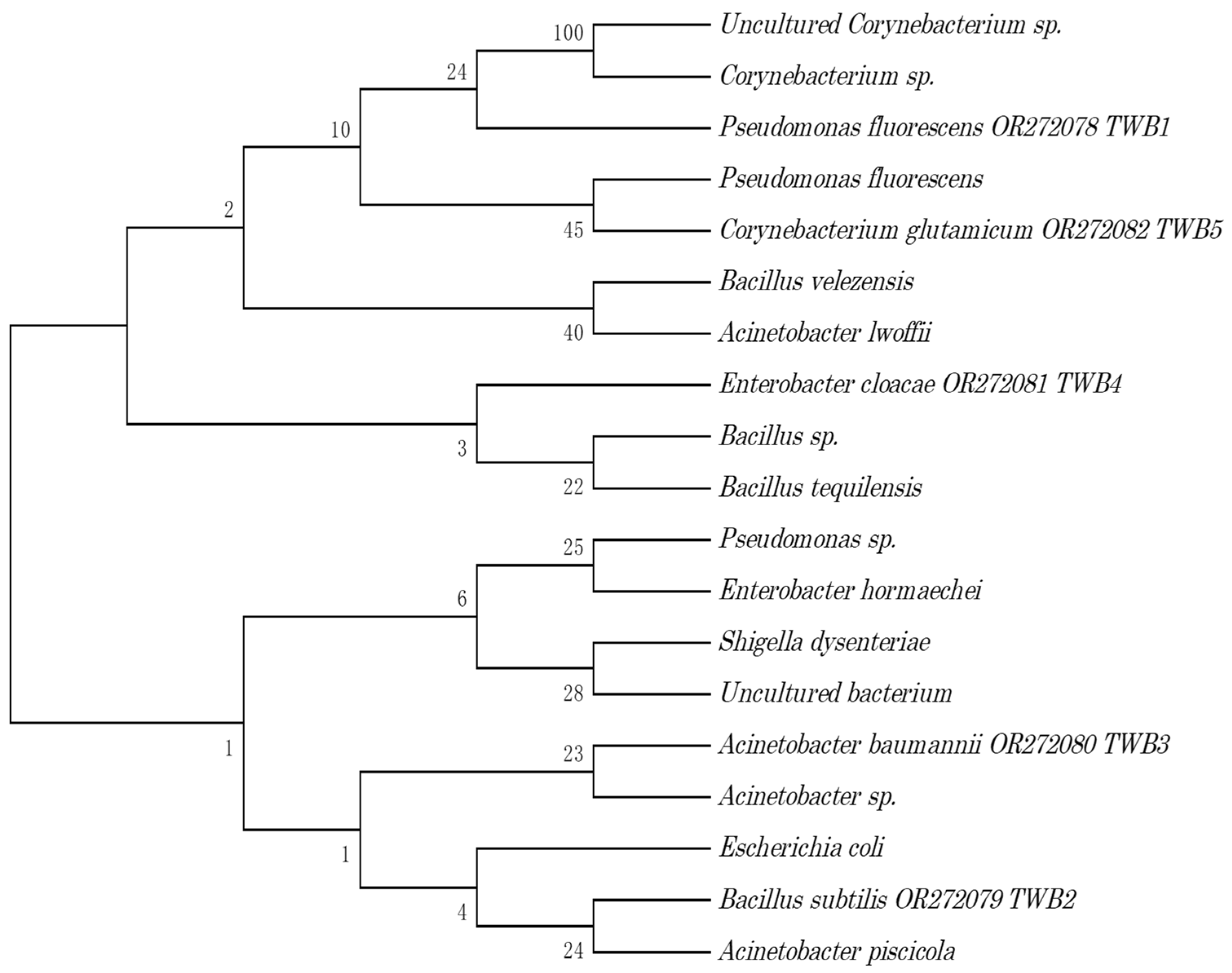 Biology 12 01507 g001