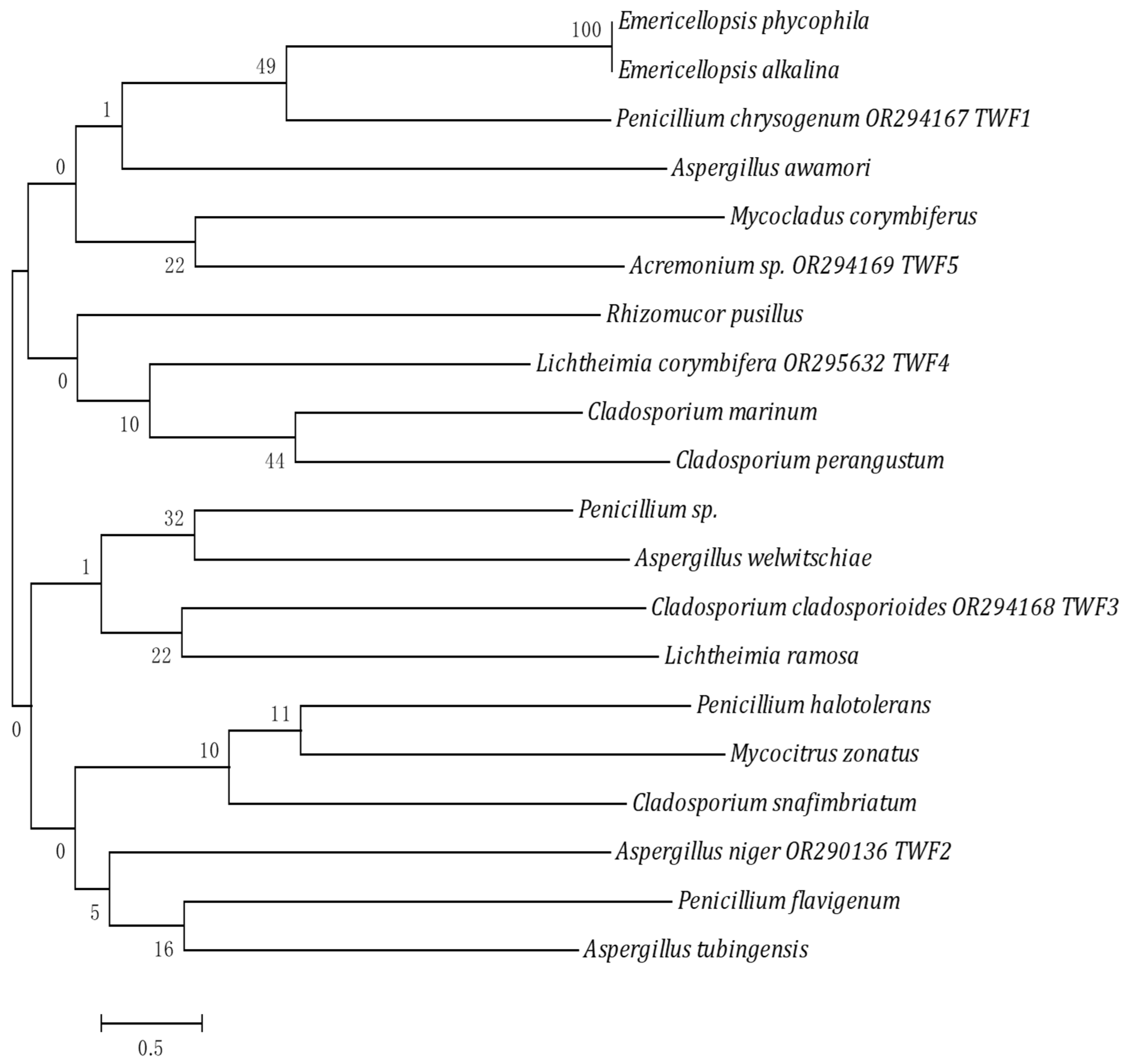 Biology 12 01507 g002