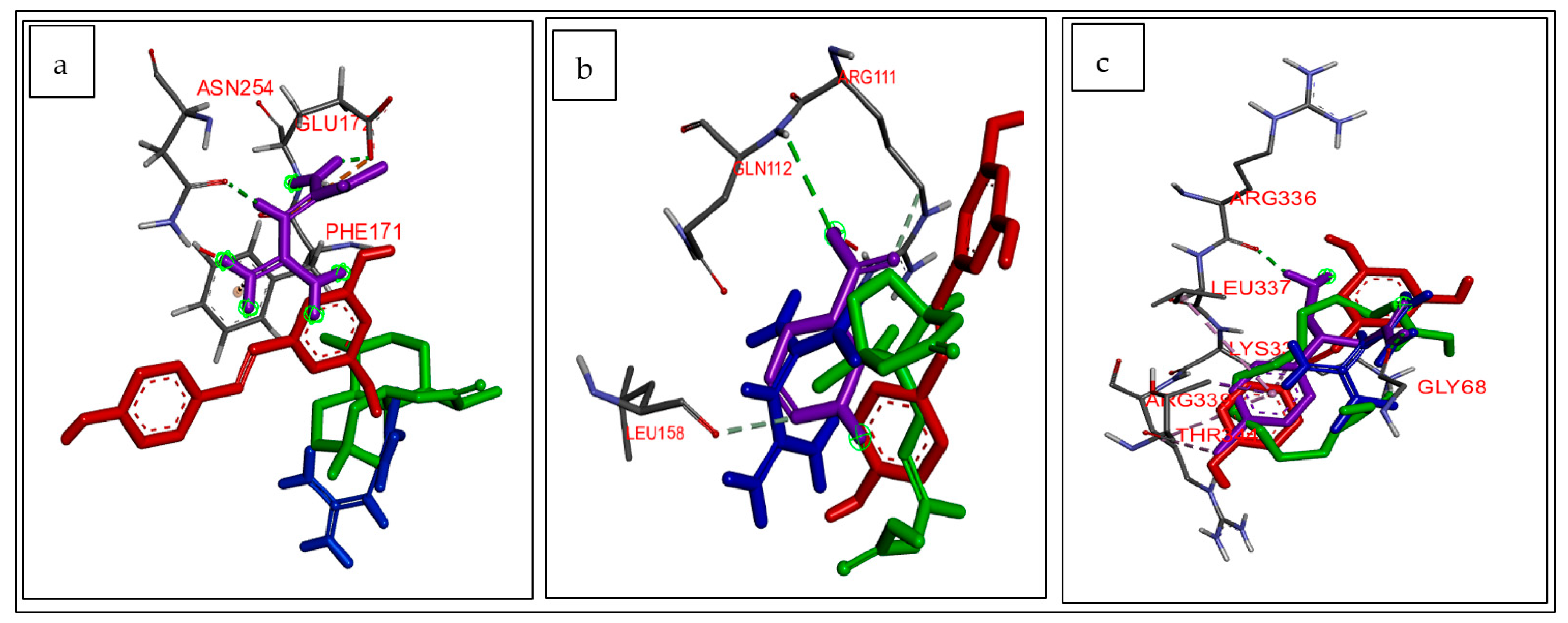 Biology 12 01509 g001