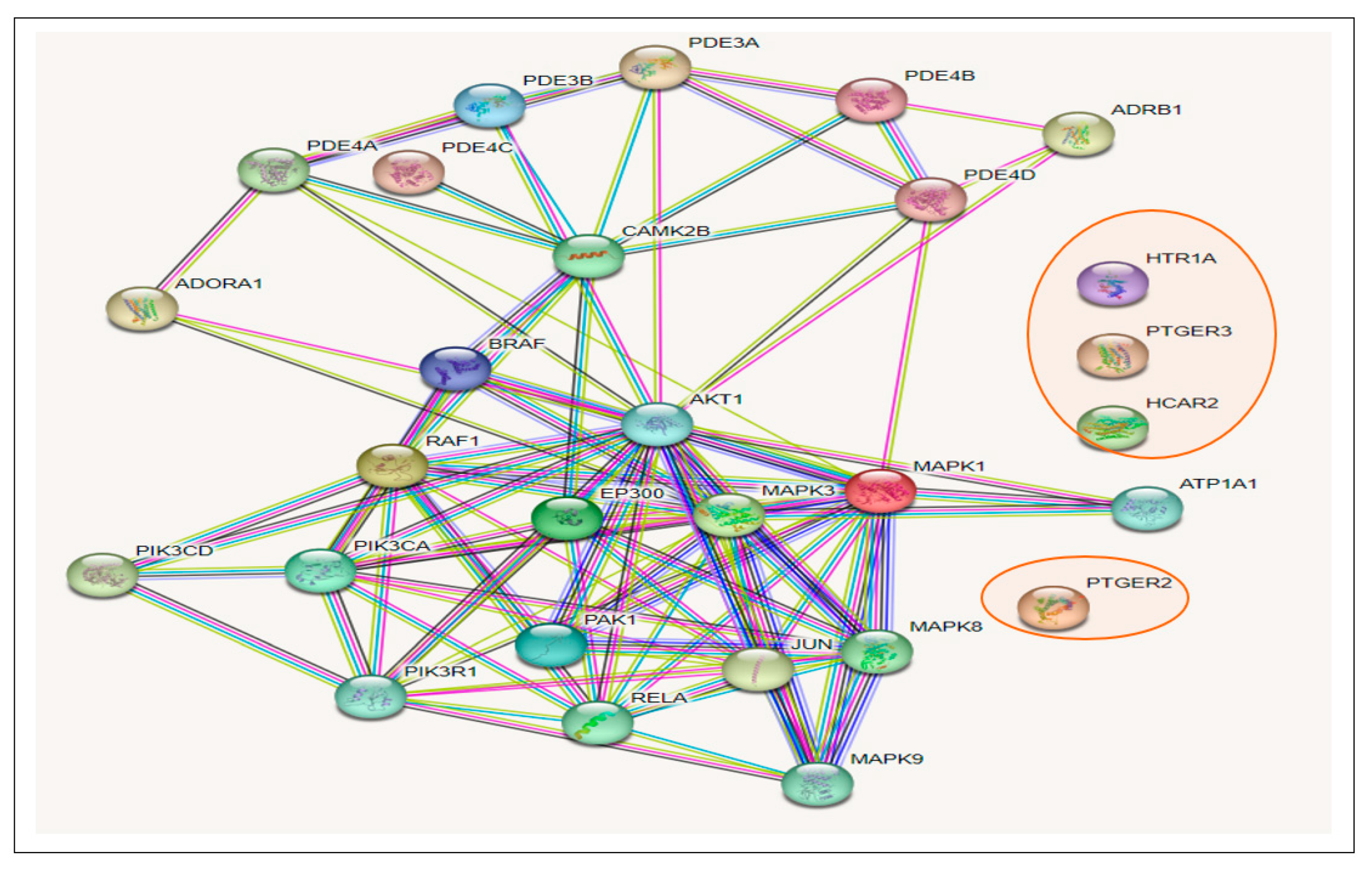 Biology 12 01509 g006