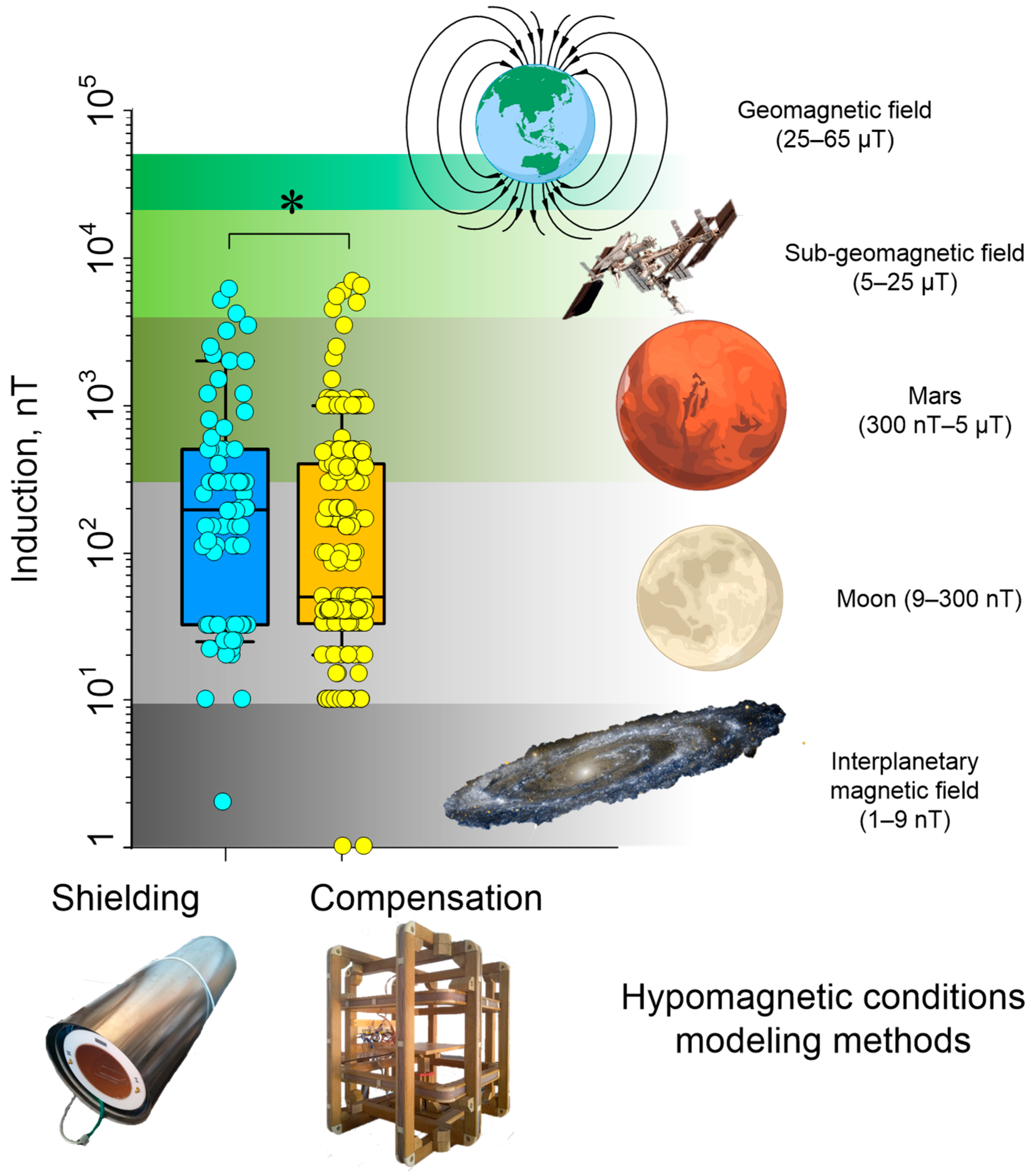 Biology 12 01513 g002 Biology 12 01513 g002