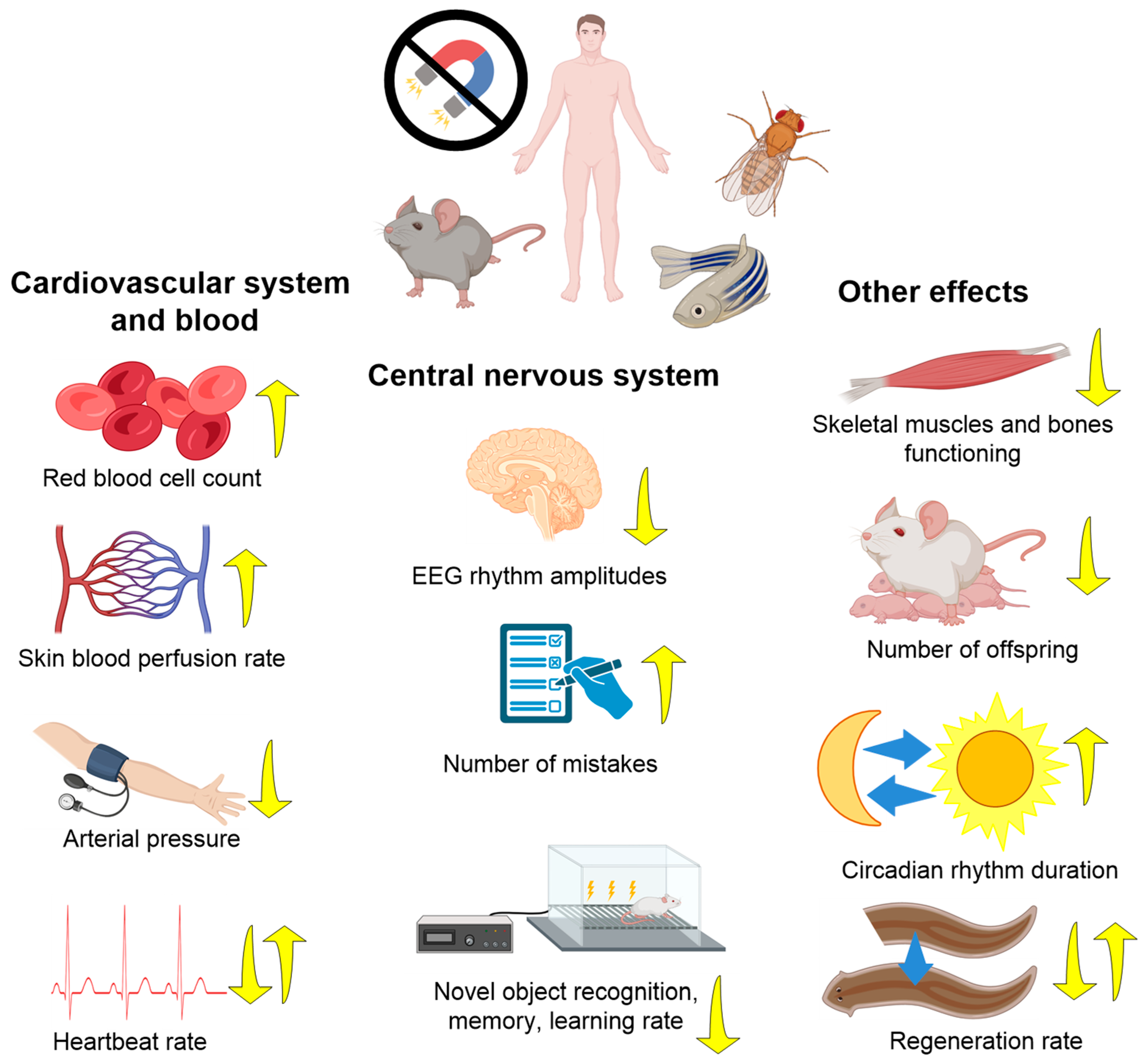 Biology 12 01513 g003 Biology 12 01513 g003