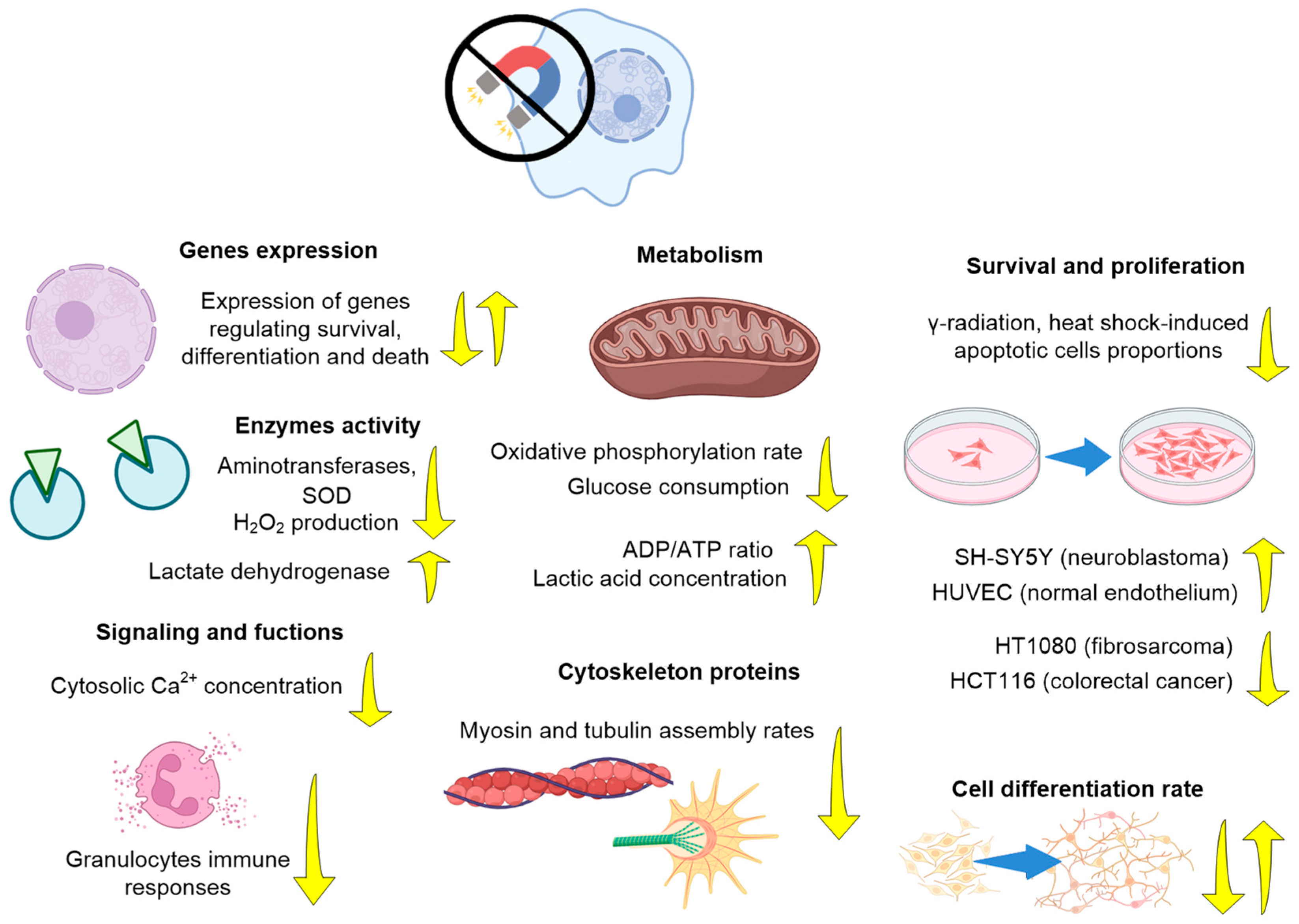 Biology 12 01513 g005 Biology 12 01513 g005