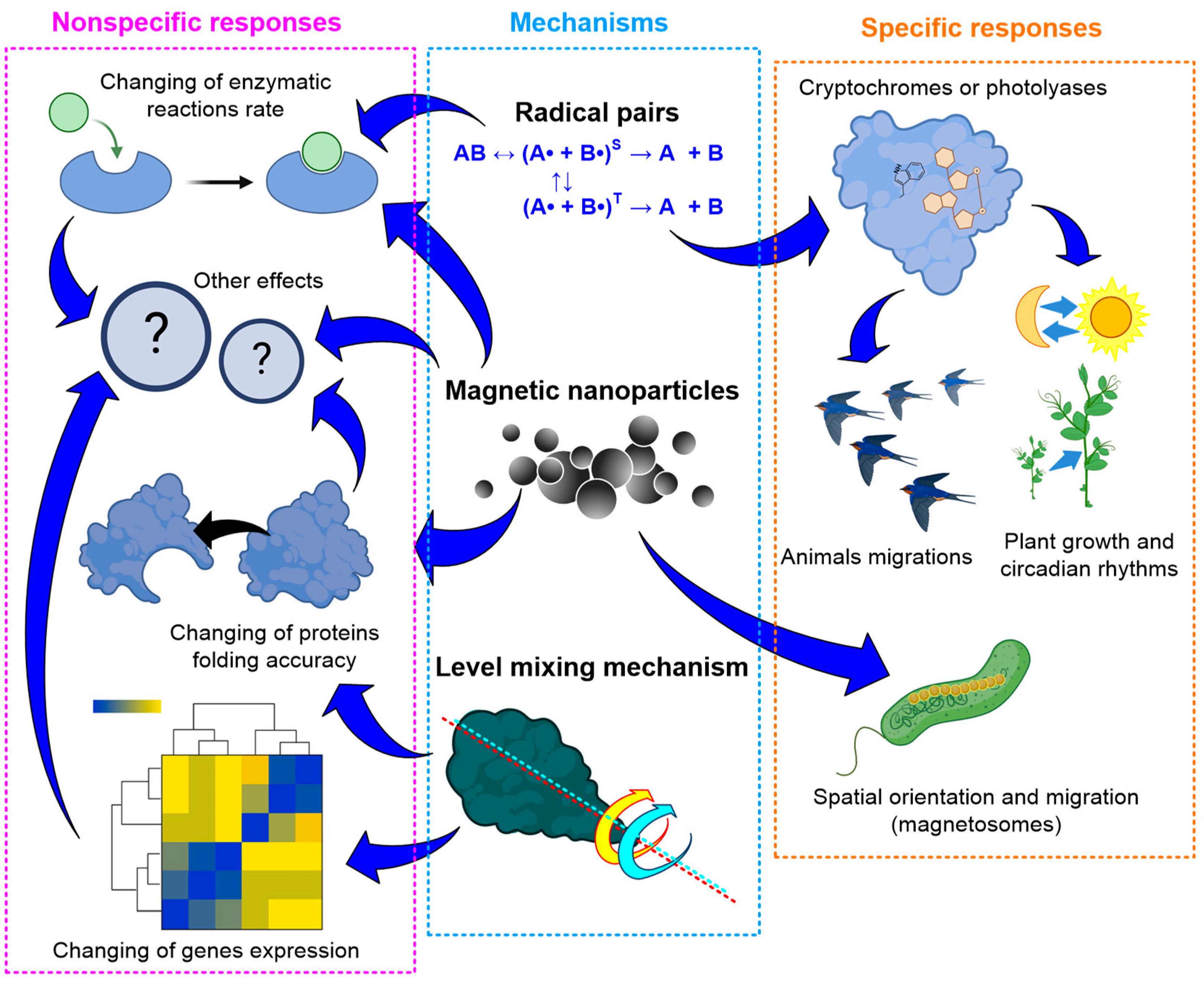 Biology 12 01513 g006 Biology 12 01513 g006