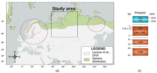 DNA from fossils reveal the origin of the Norwegian lemming