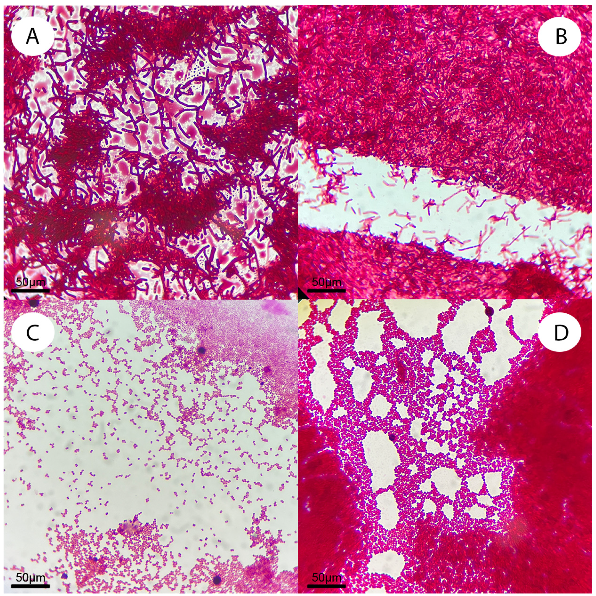 Biology 12 01519 g002