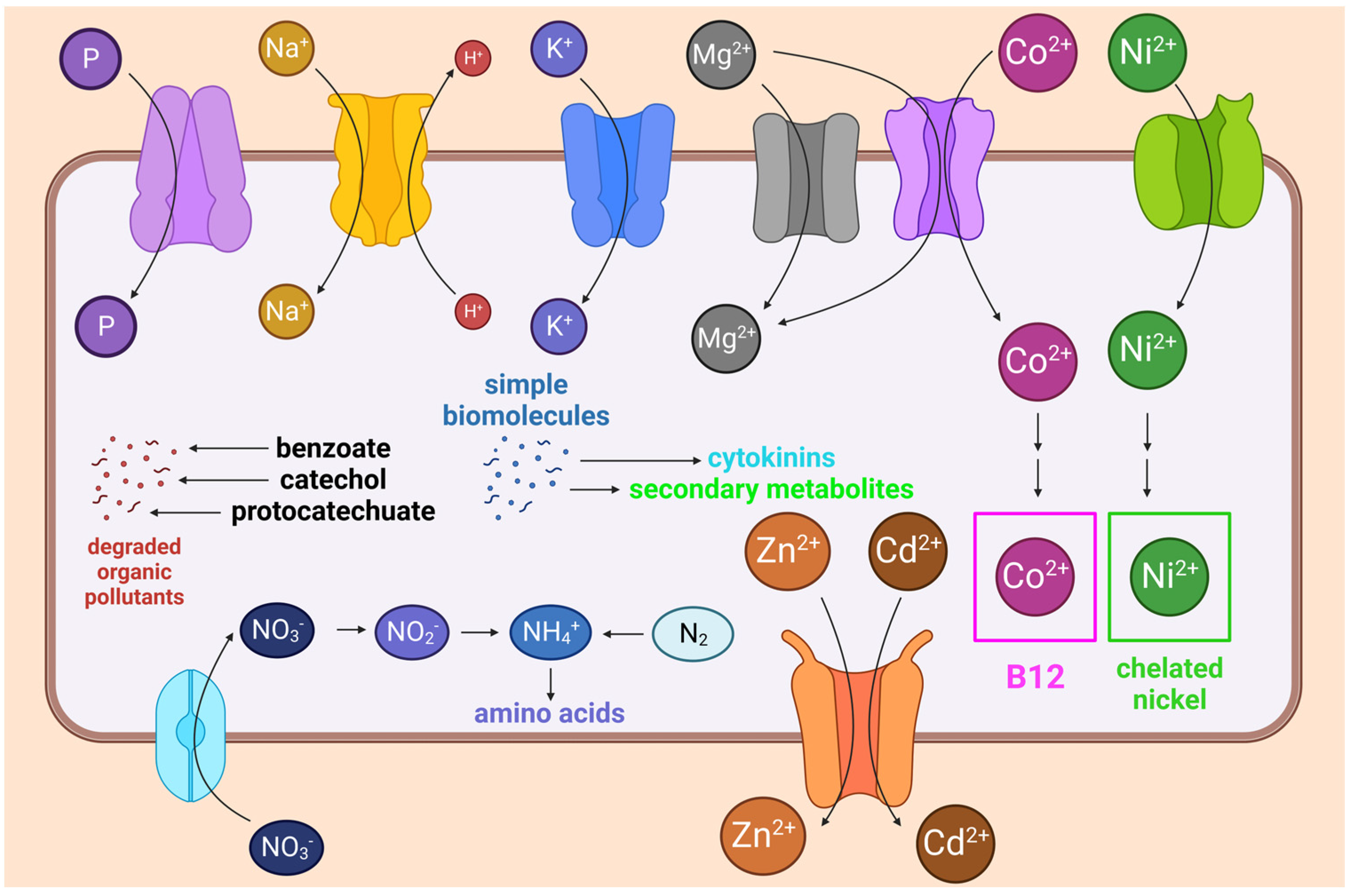 Biology 12 01519 g004