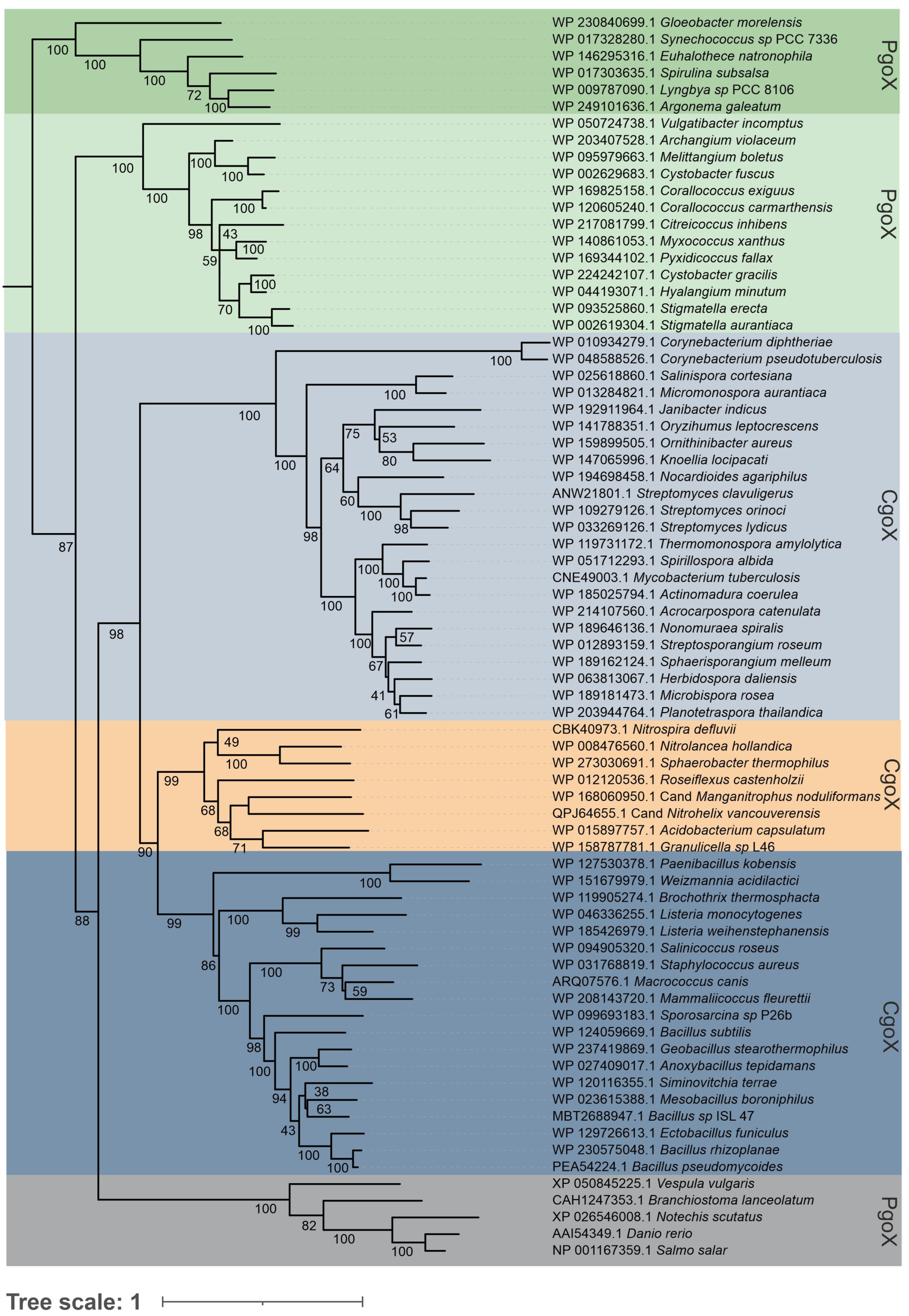 Biology 12 01527 g002