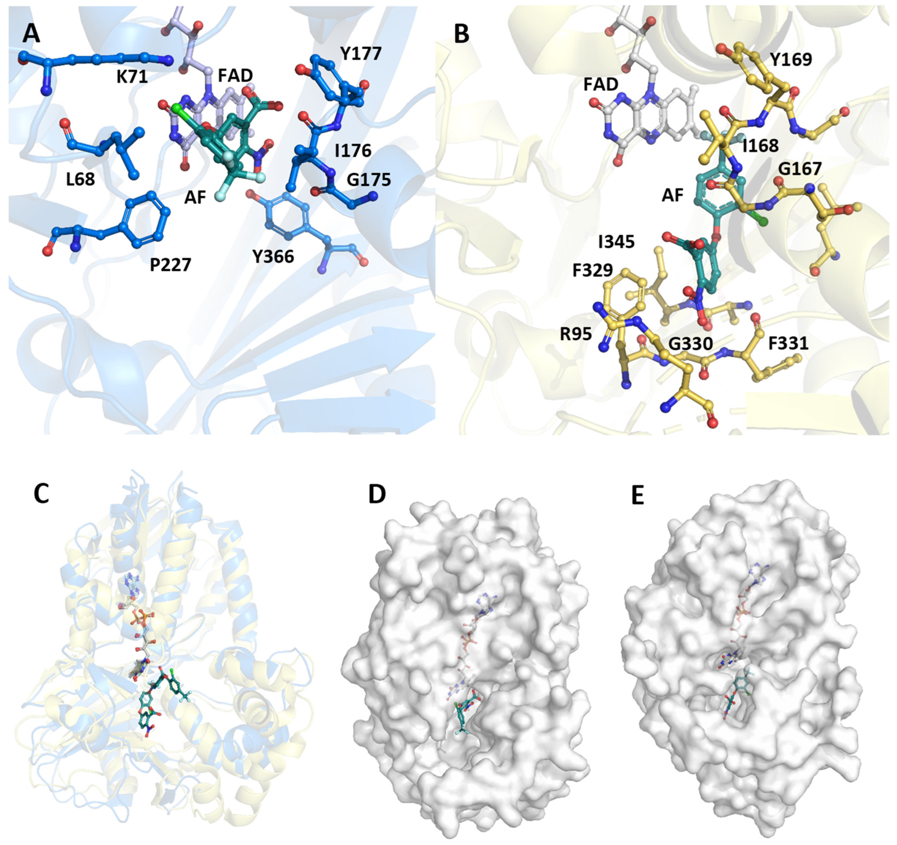 Biology 12 01527 g004
