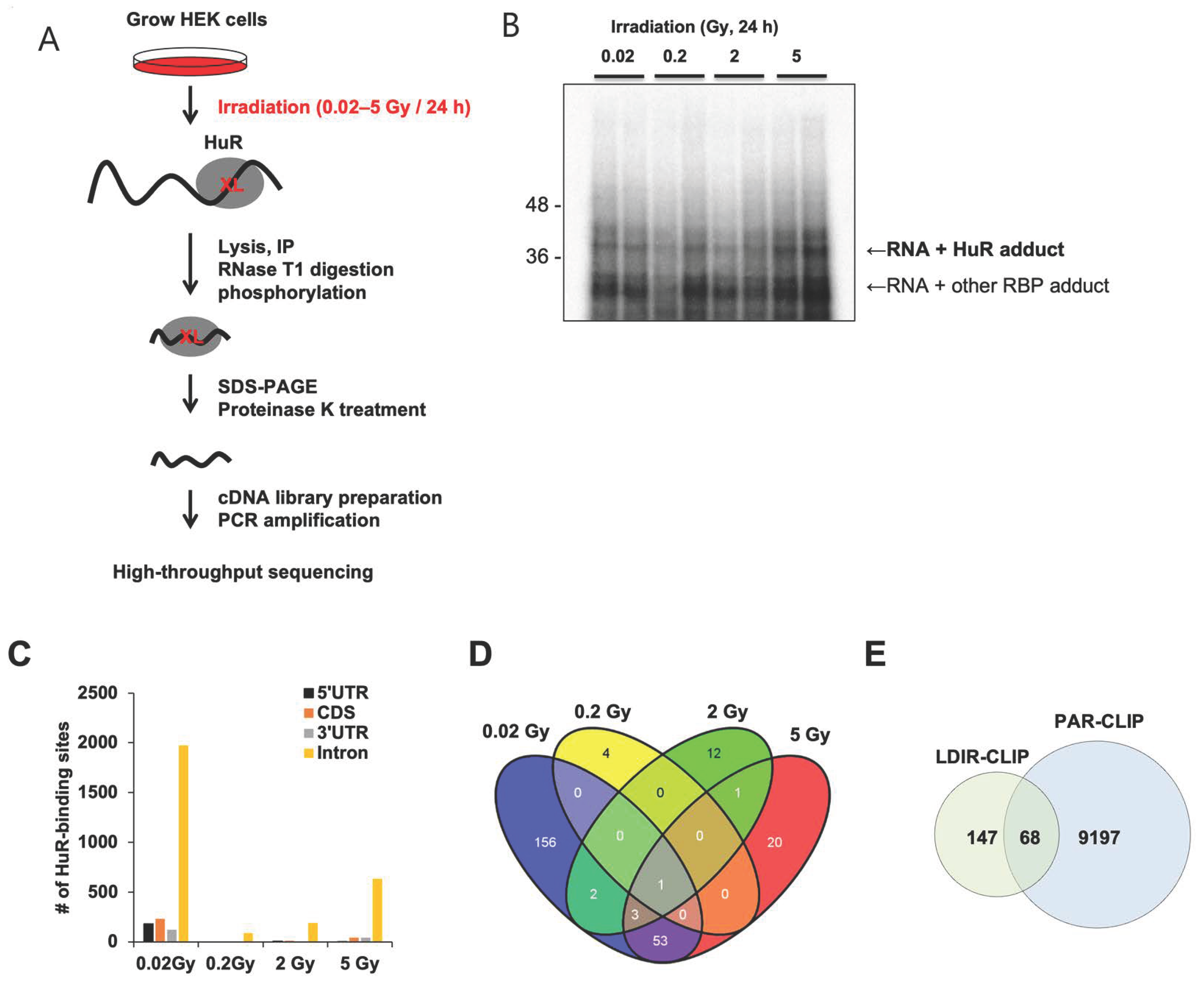 Biology 12 01533 g001