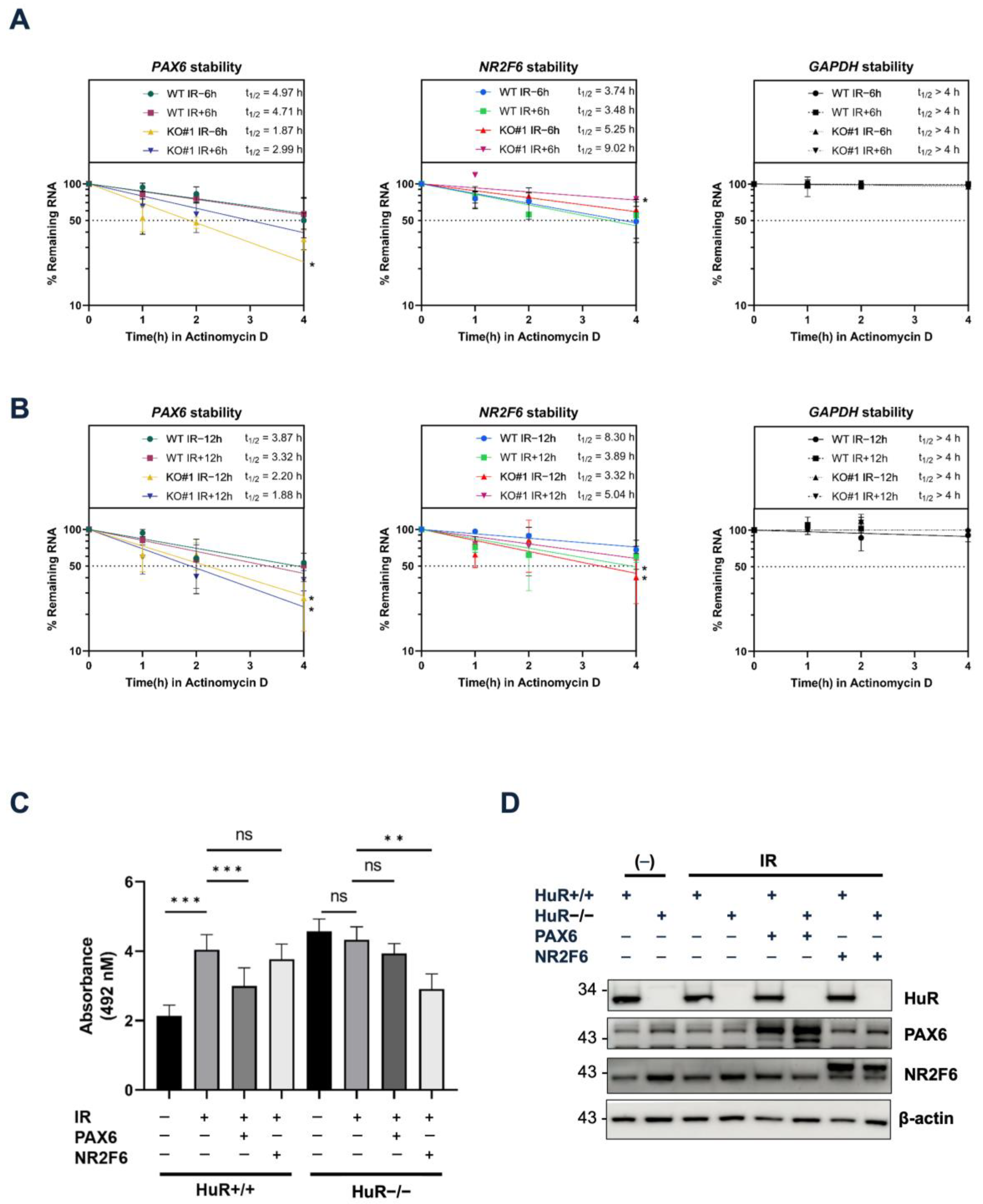 Biology 12 01533 g005