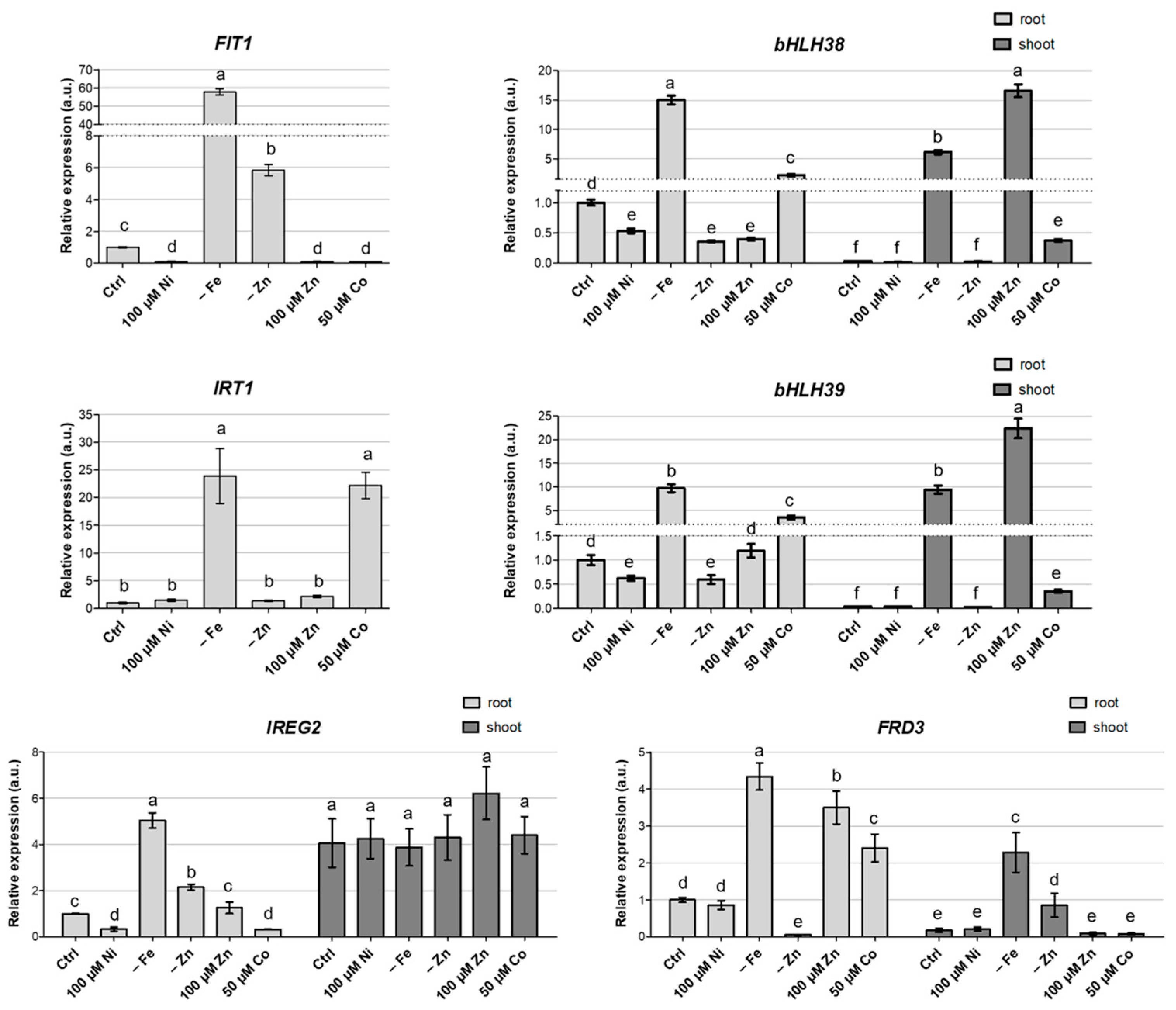 Biology 12 01537 g004