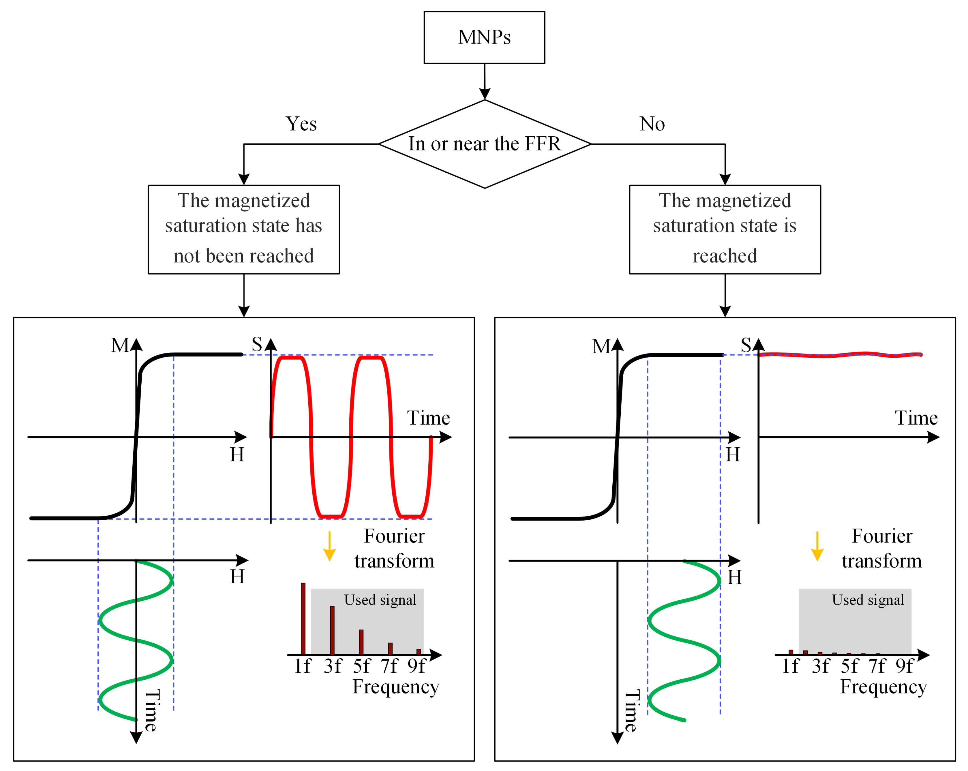 Biology 13 00002 g001