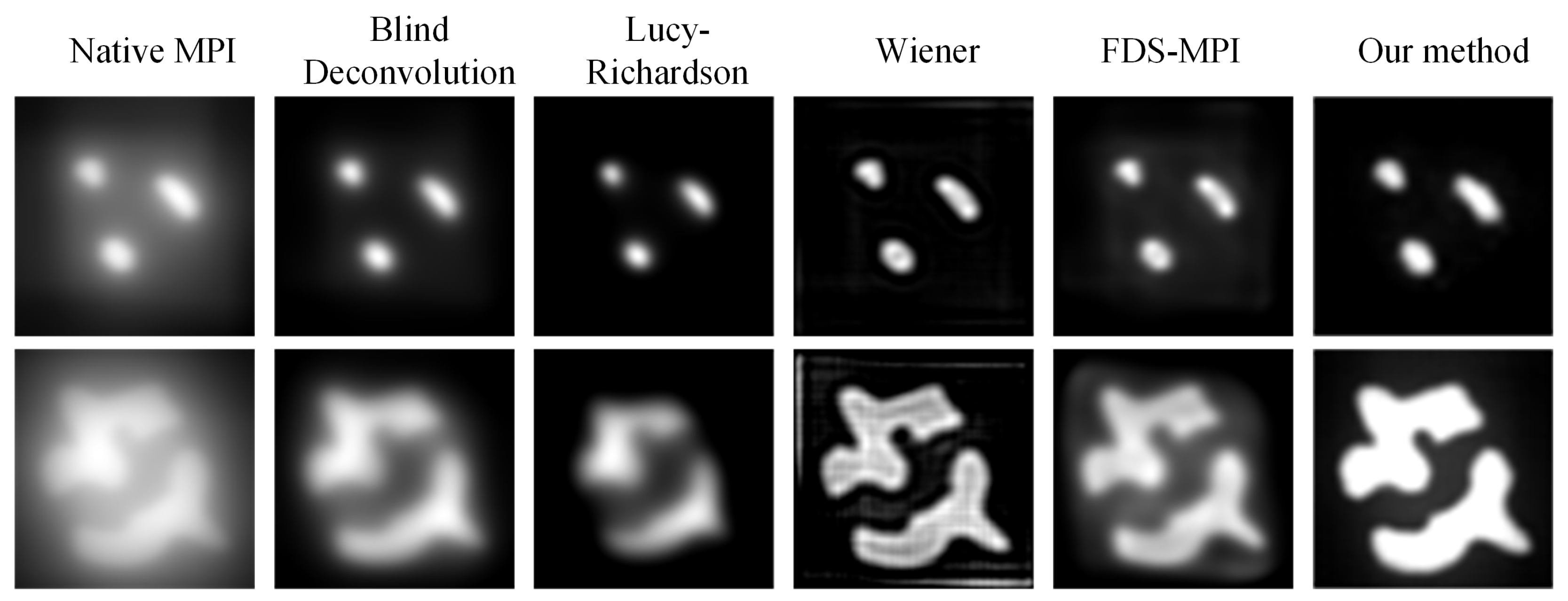 Biology 13 00002 g008