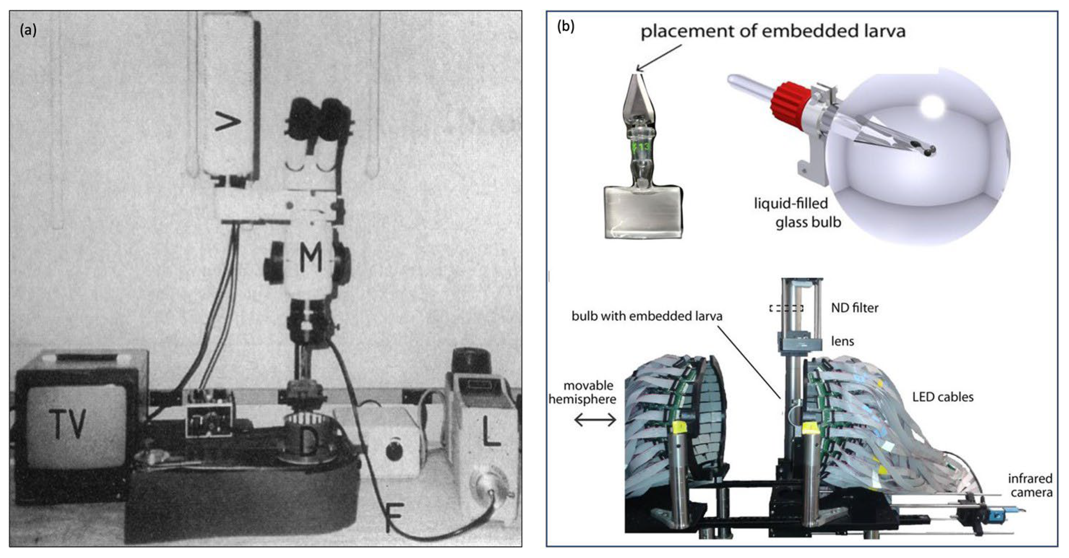 Biology 13 00004 g005