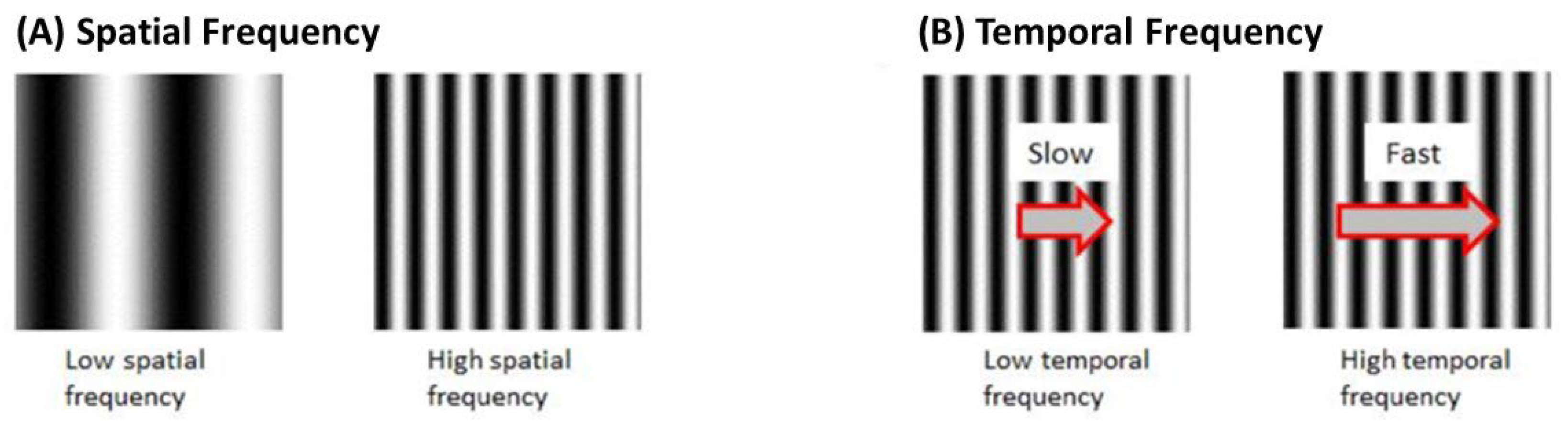 Biology 13 00004 g006