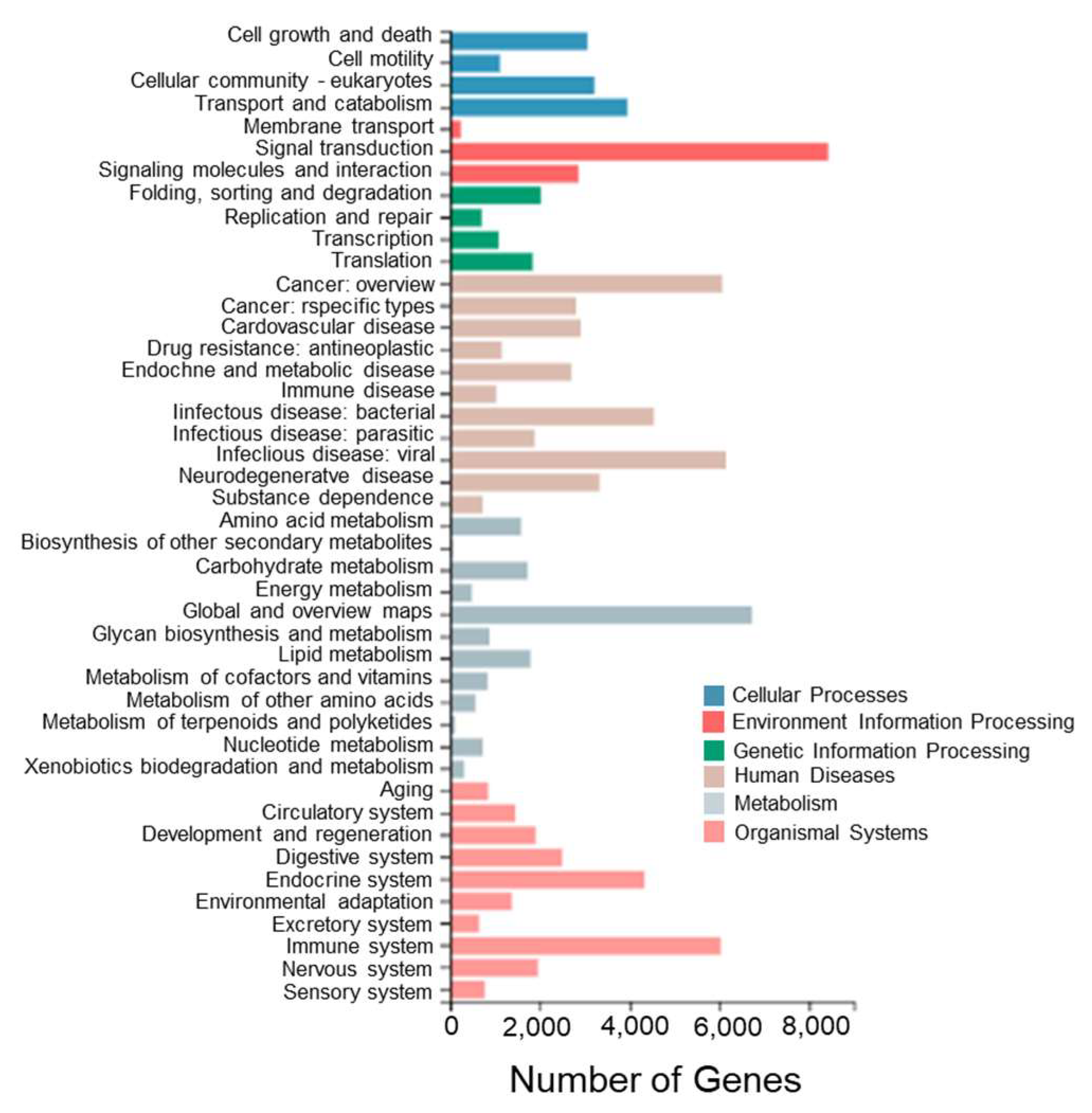 Biology 13 00005 g006