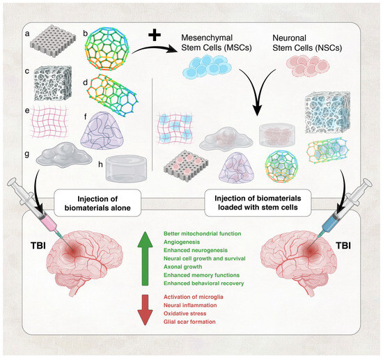 Biomaterials in Traumatic Brain Injury: Perspectives and