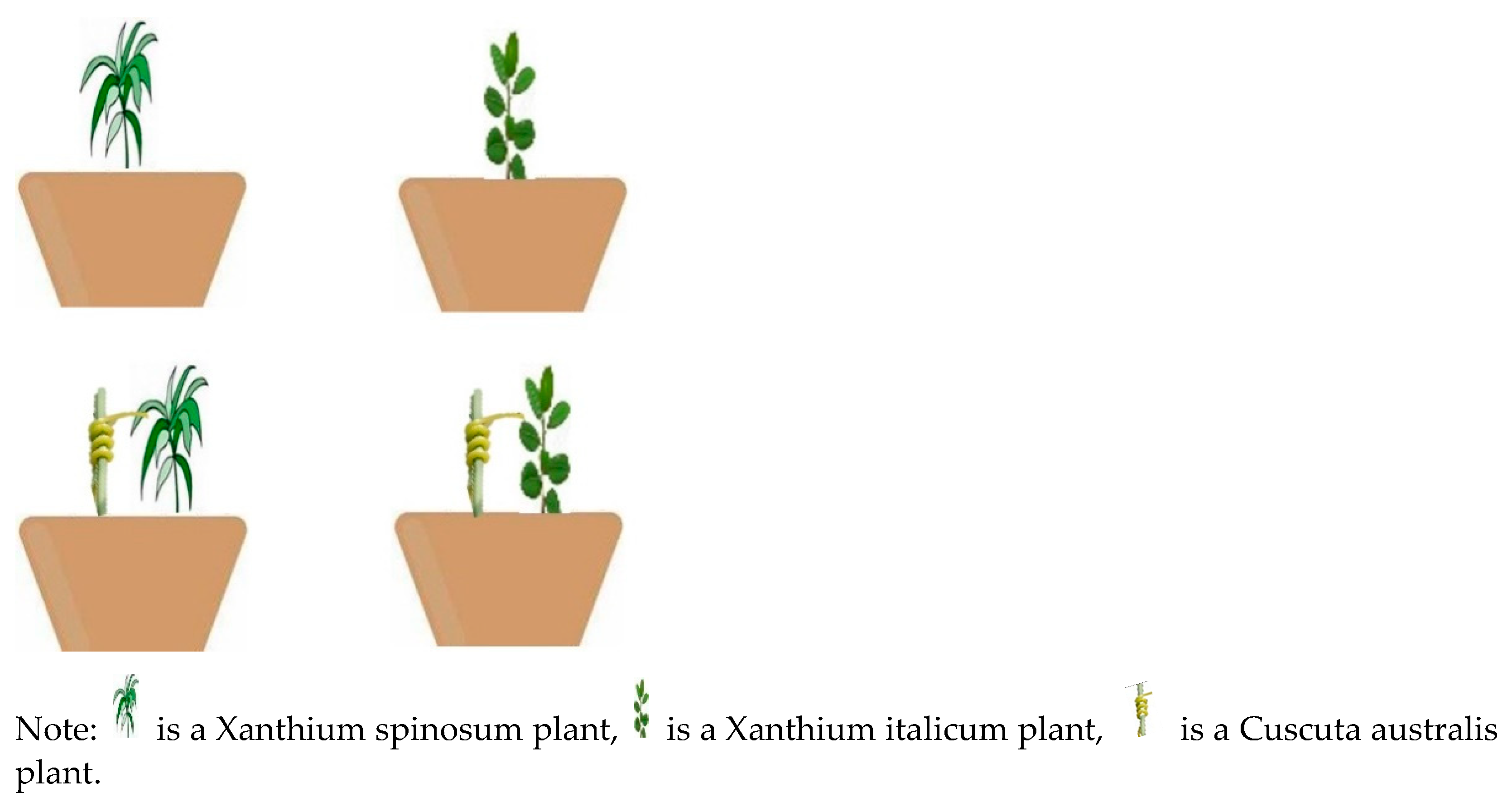 Biology 13 00023 g001