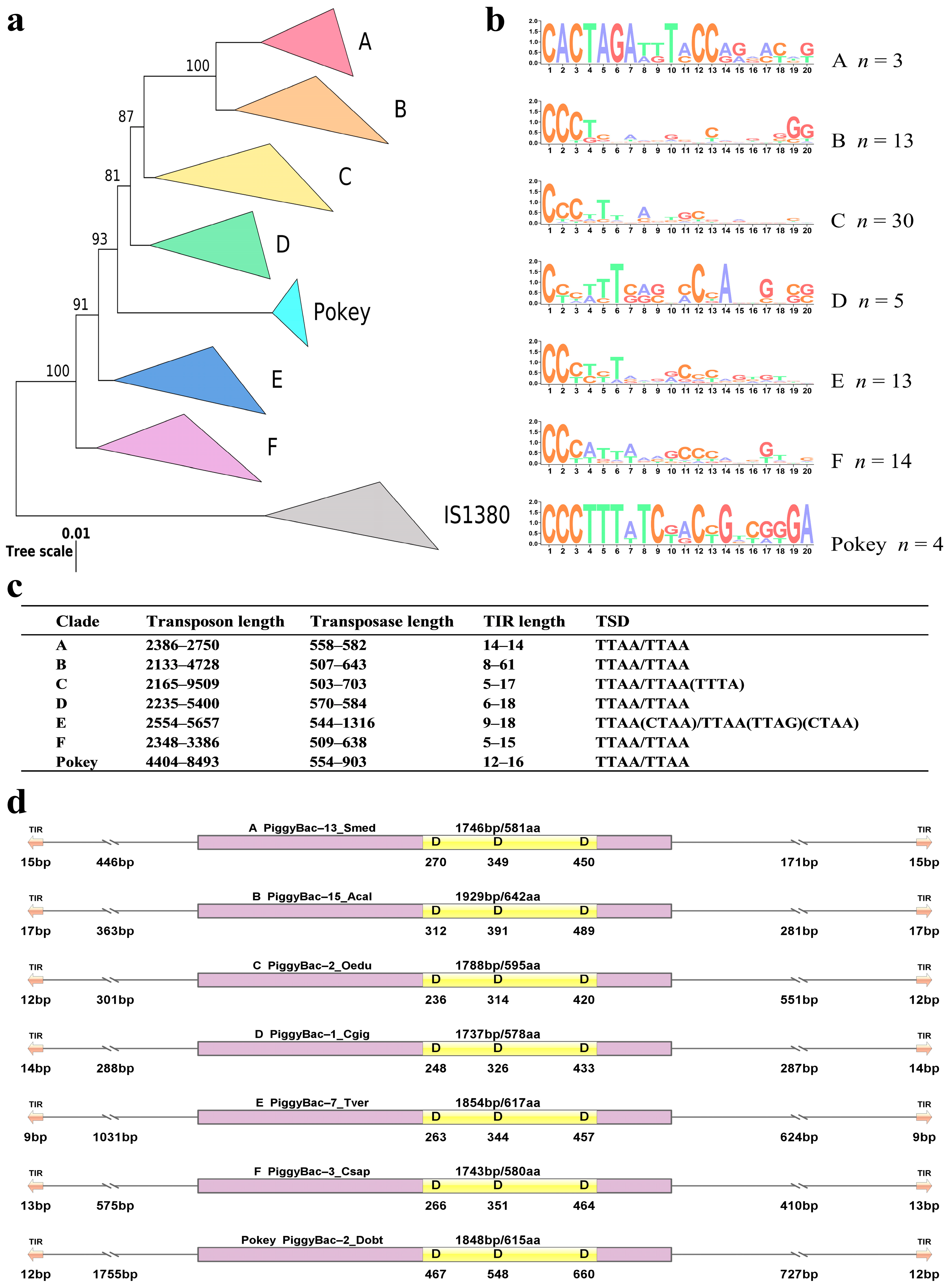 Biology 13 00024 g001 Biology 13 00024 g001
