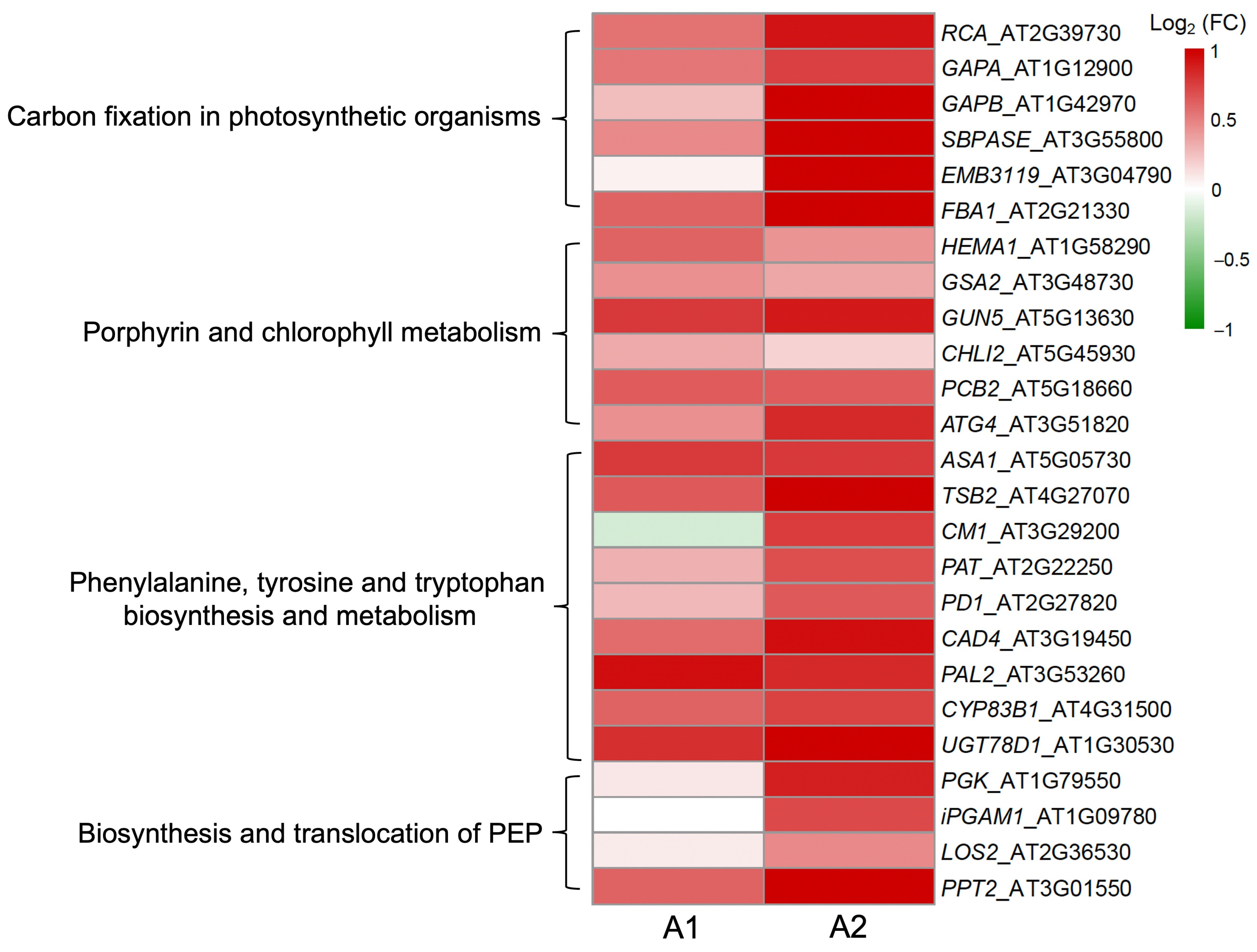 Biology 13 00025 g006