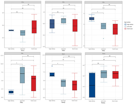 people様　M size PERSONS カットソースキッパートップス パーソンズ（PERSONS