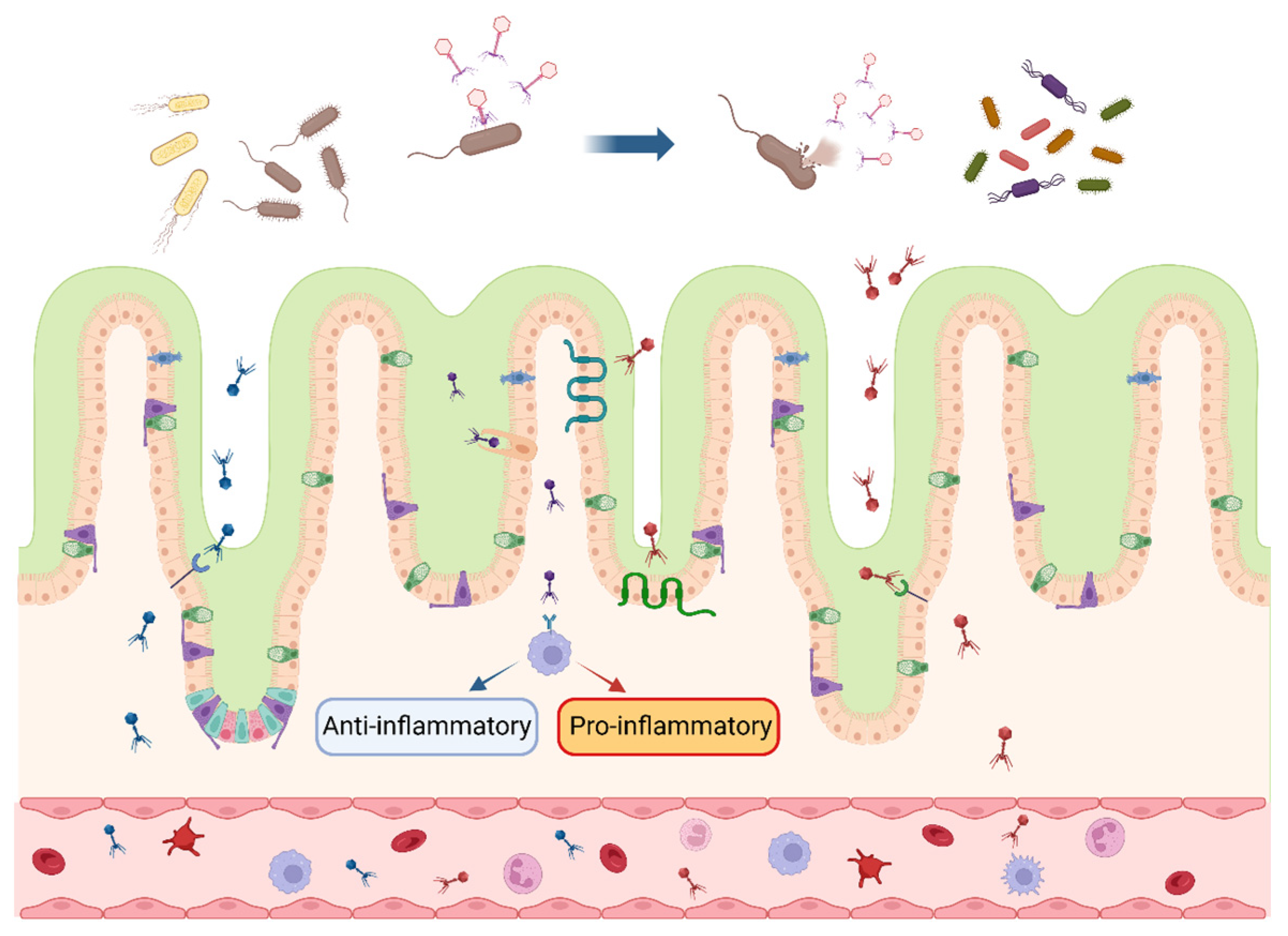 Biology 13 00028 g001