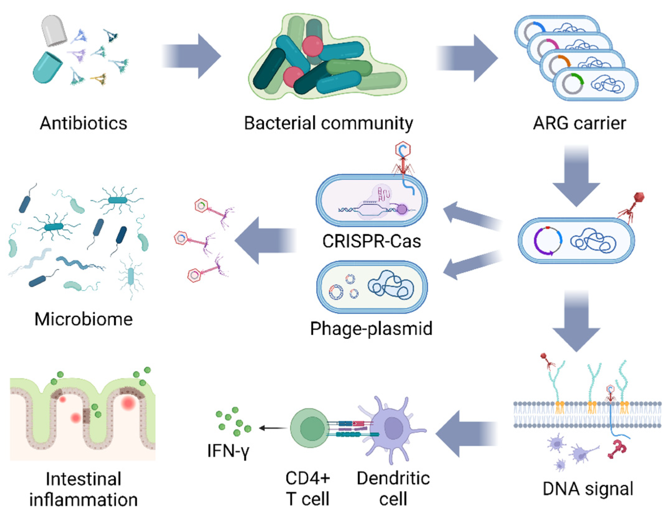 Biology 13 00028 g002