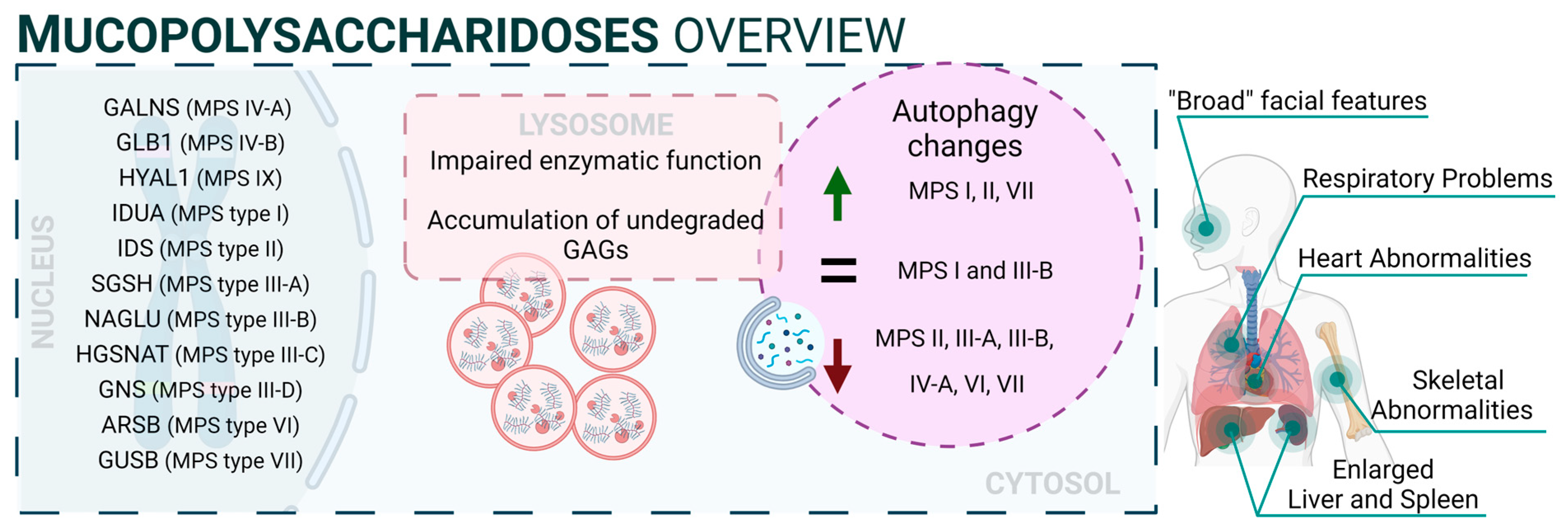 Biology 13 00034 g002