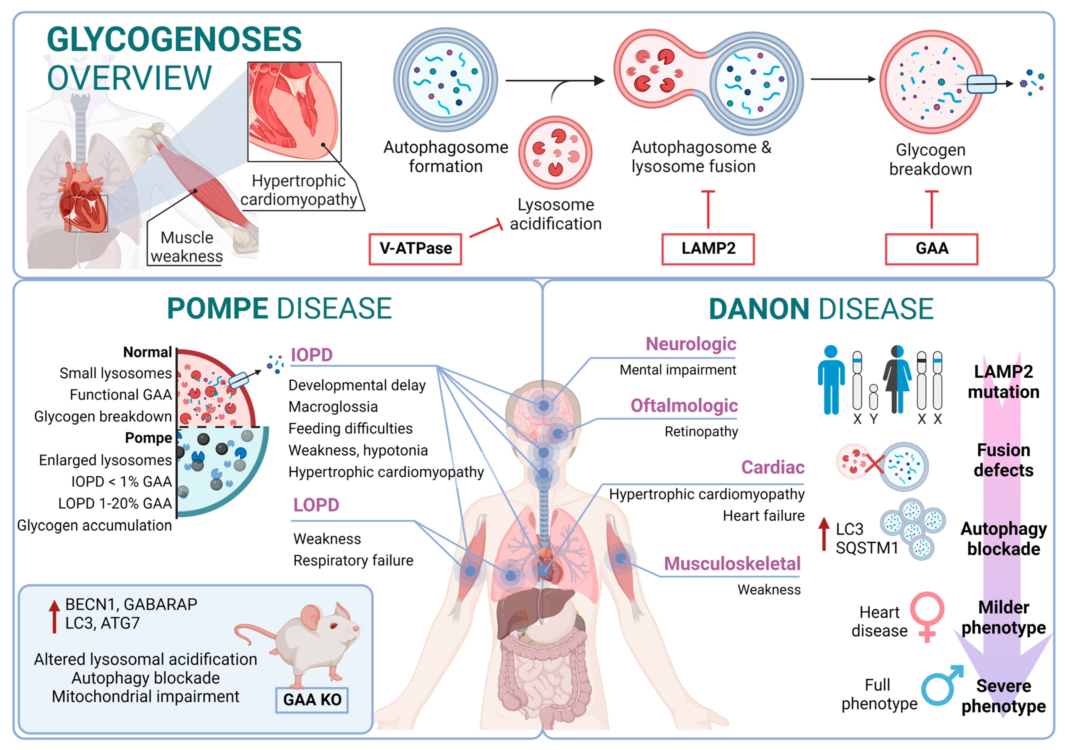 Biology 13 00034 g003