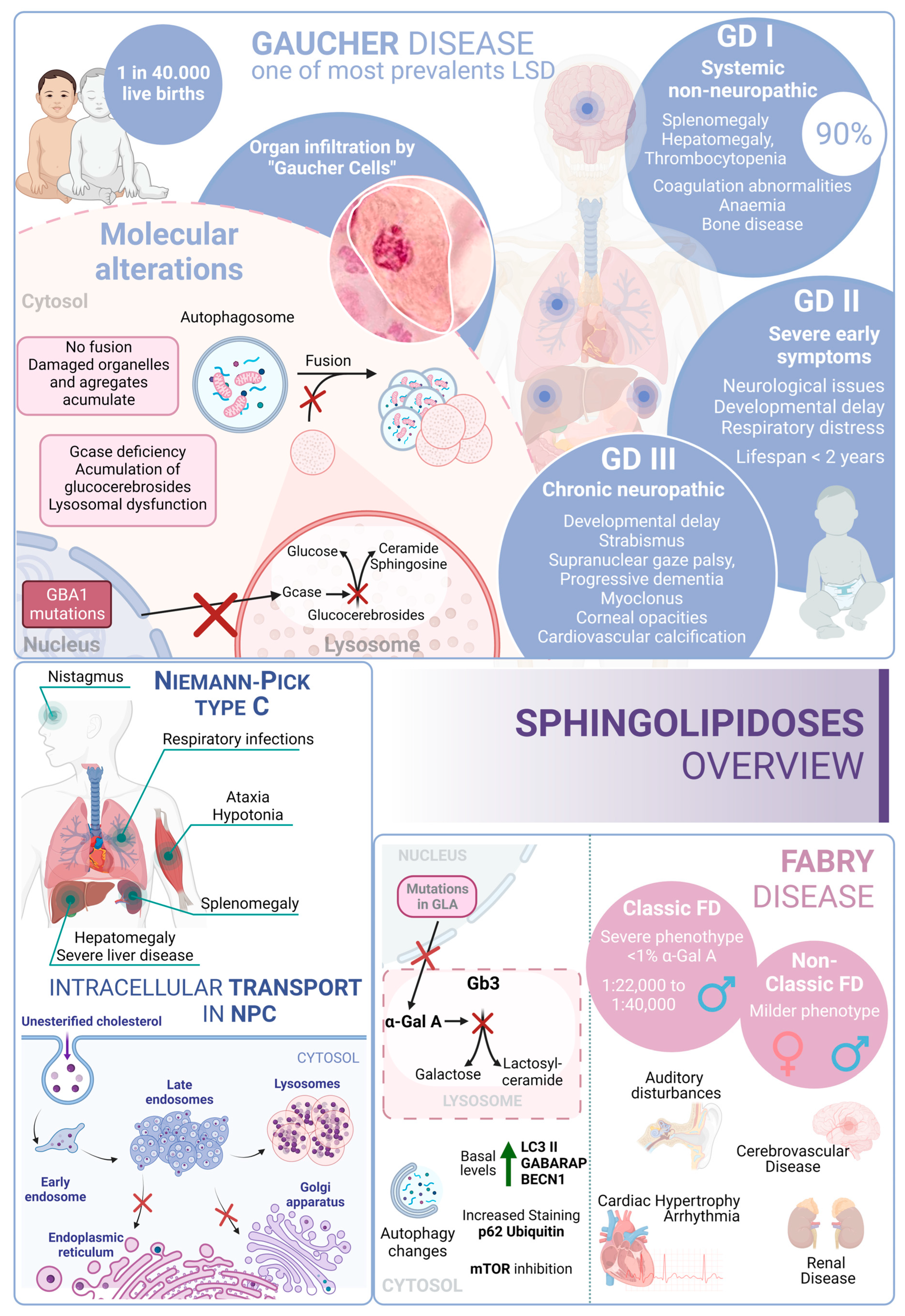 Biology 13 00034 g004