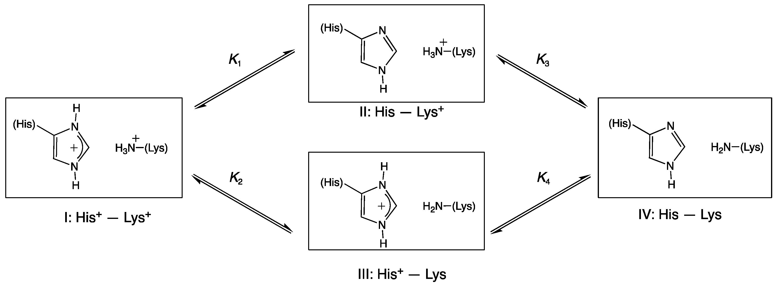Biology 13 00037 sch003