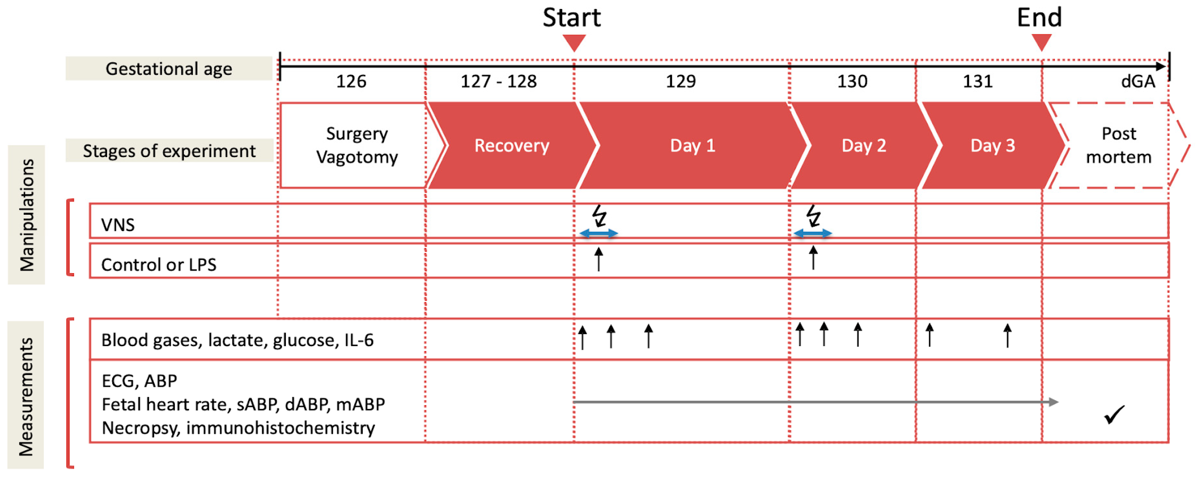 Biology 13 00038 g001 Biology 13 00038 g001