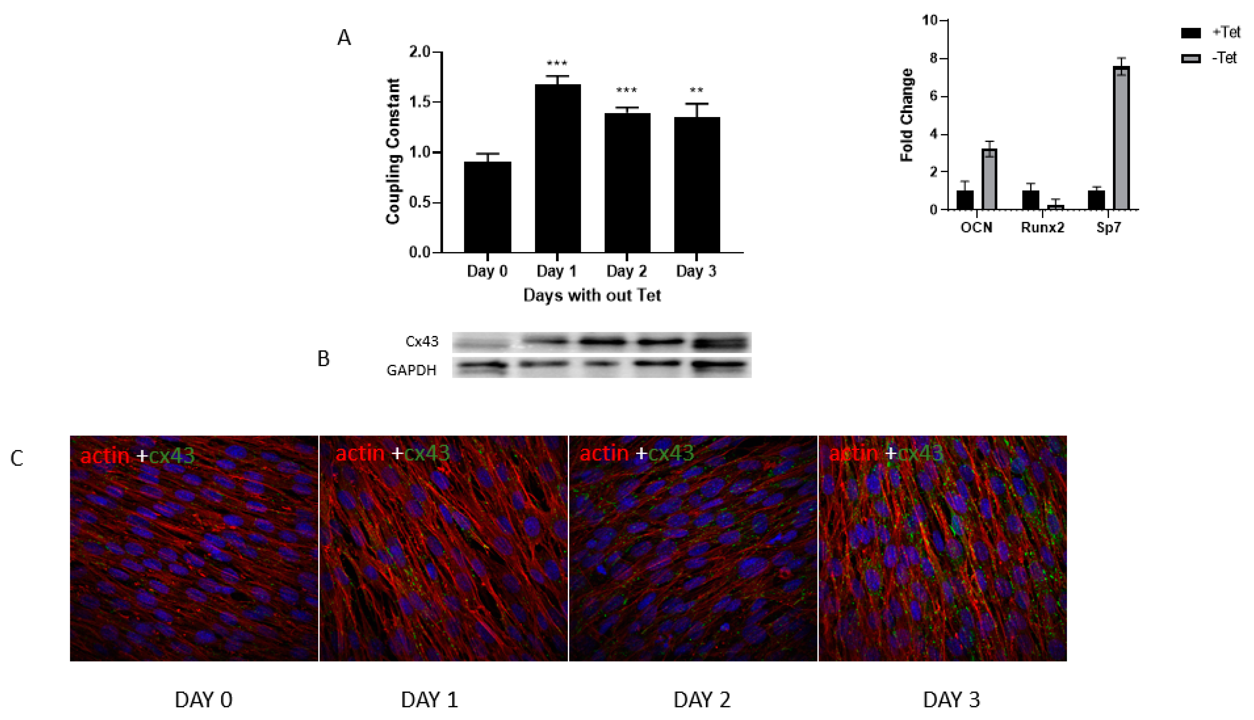 Biology 13 00039 g003 Biology 13 00039 g003