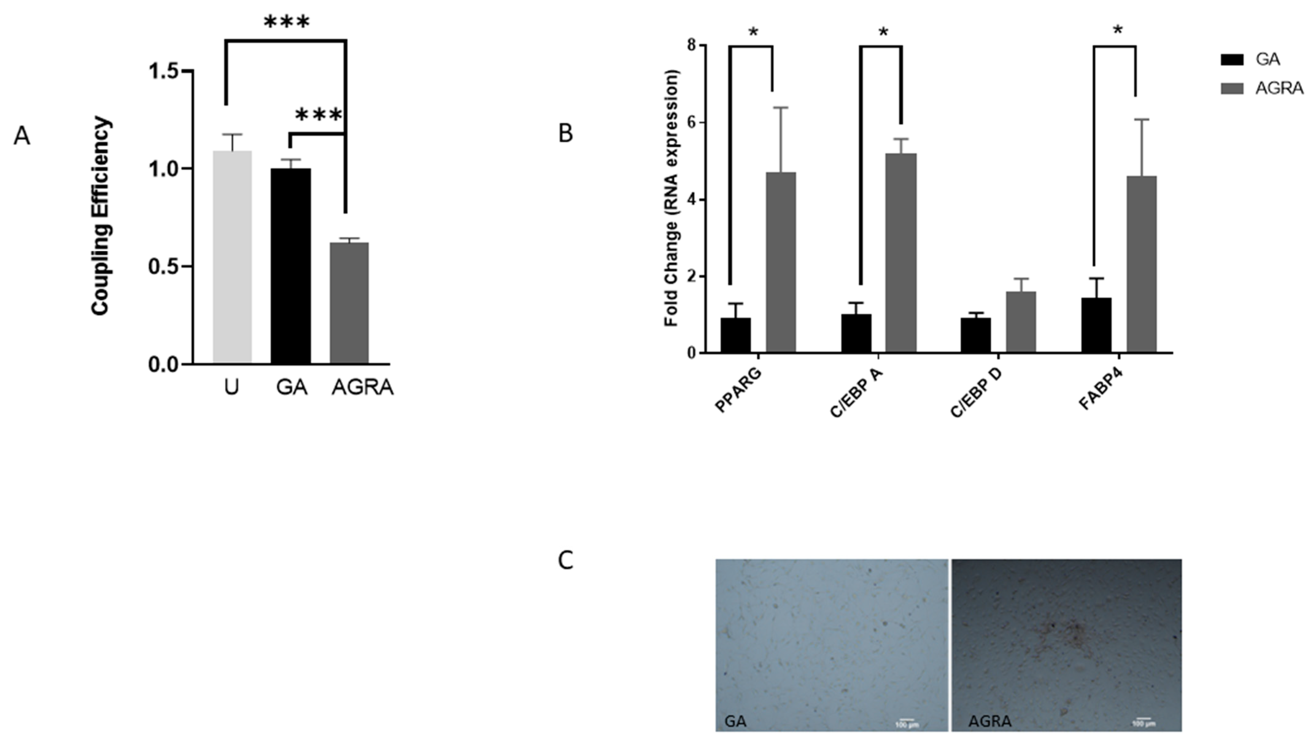 Biology 13 00039 g004 Biology 13 00039 g004
