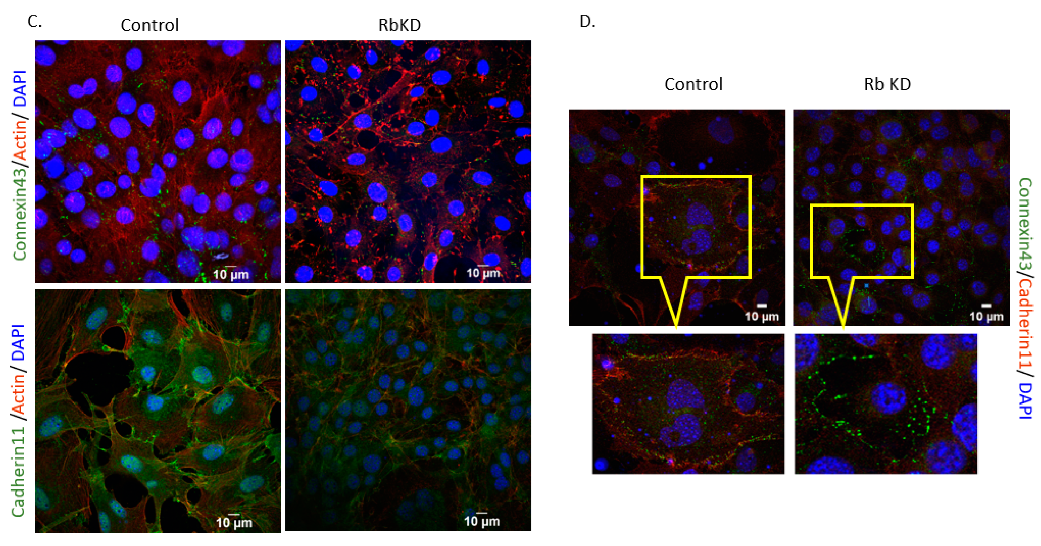 Biology 13 00039 g005b Biology 13 00039 g005b