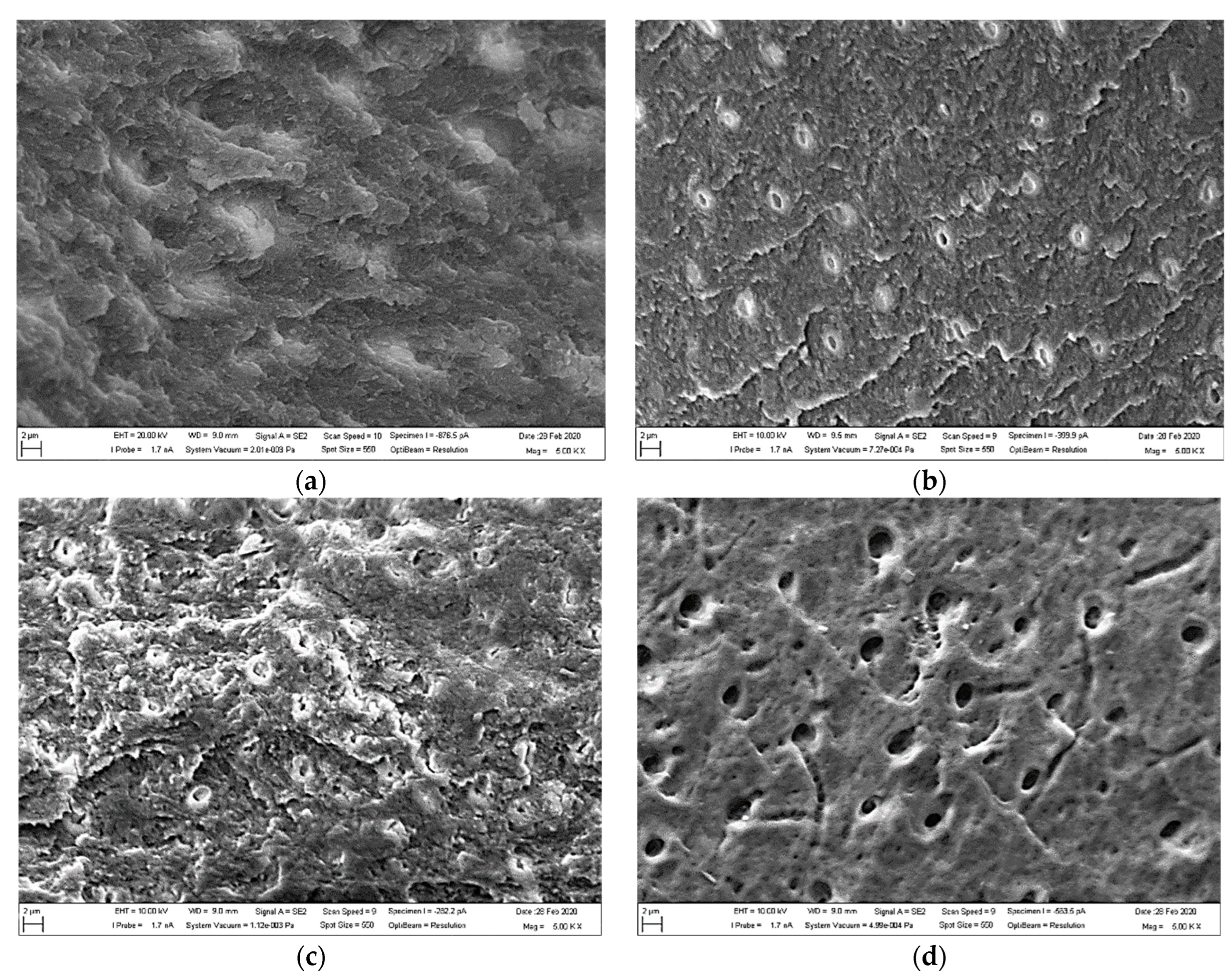 Biology 13 00040 g002a