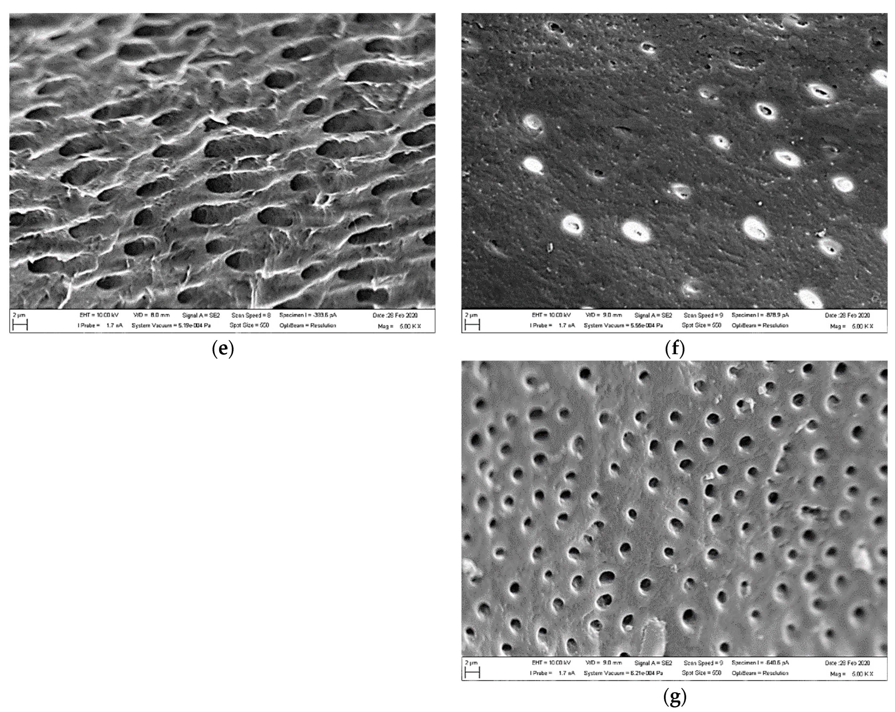 Biology 13 00040 g002b