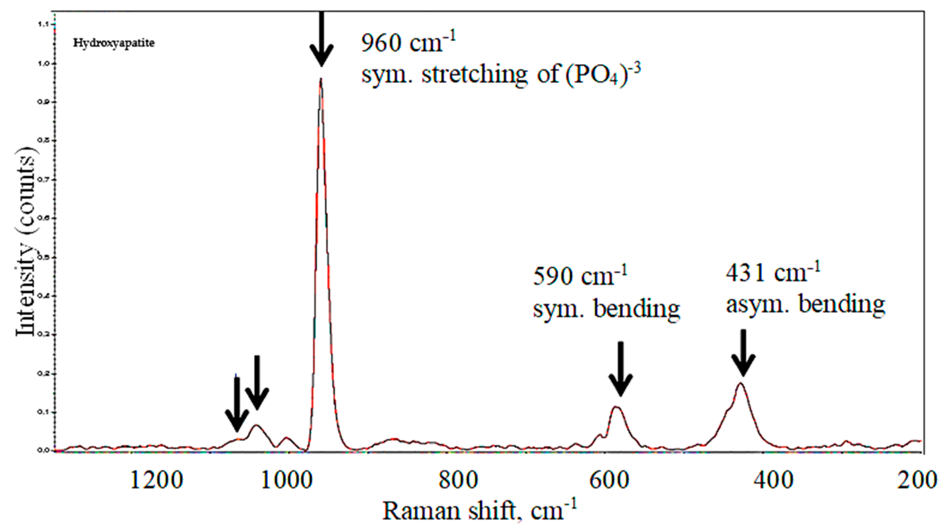 Biology 13 00040 g007