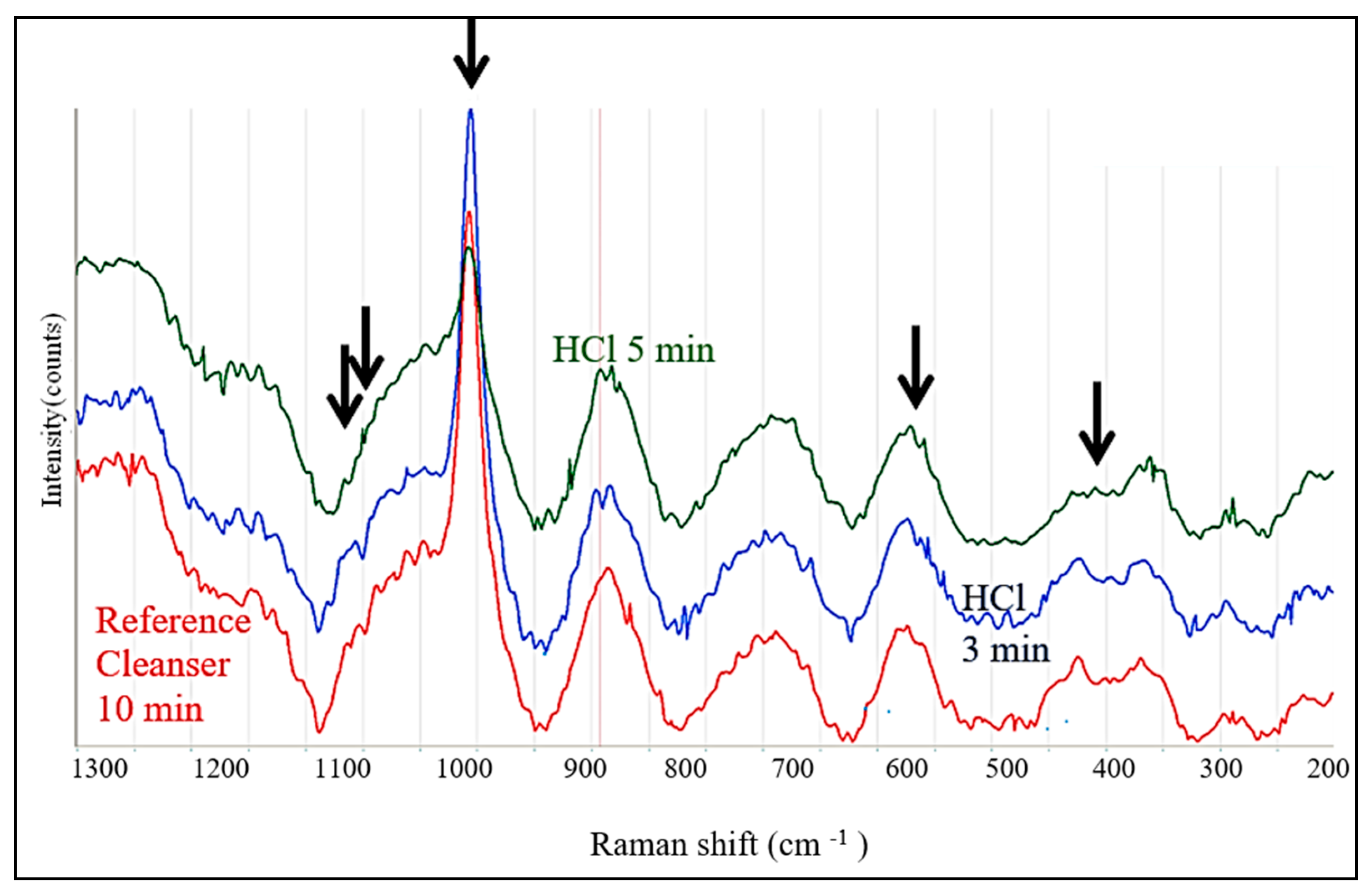 Biology 13 00040 g010