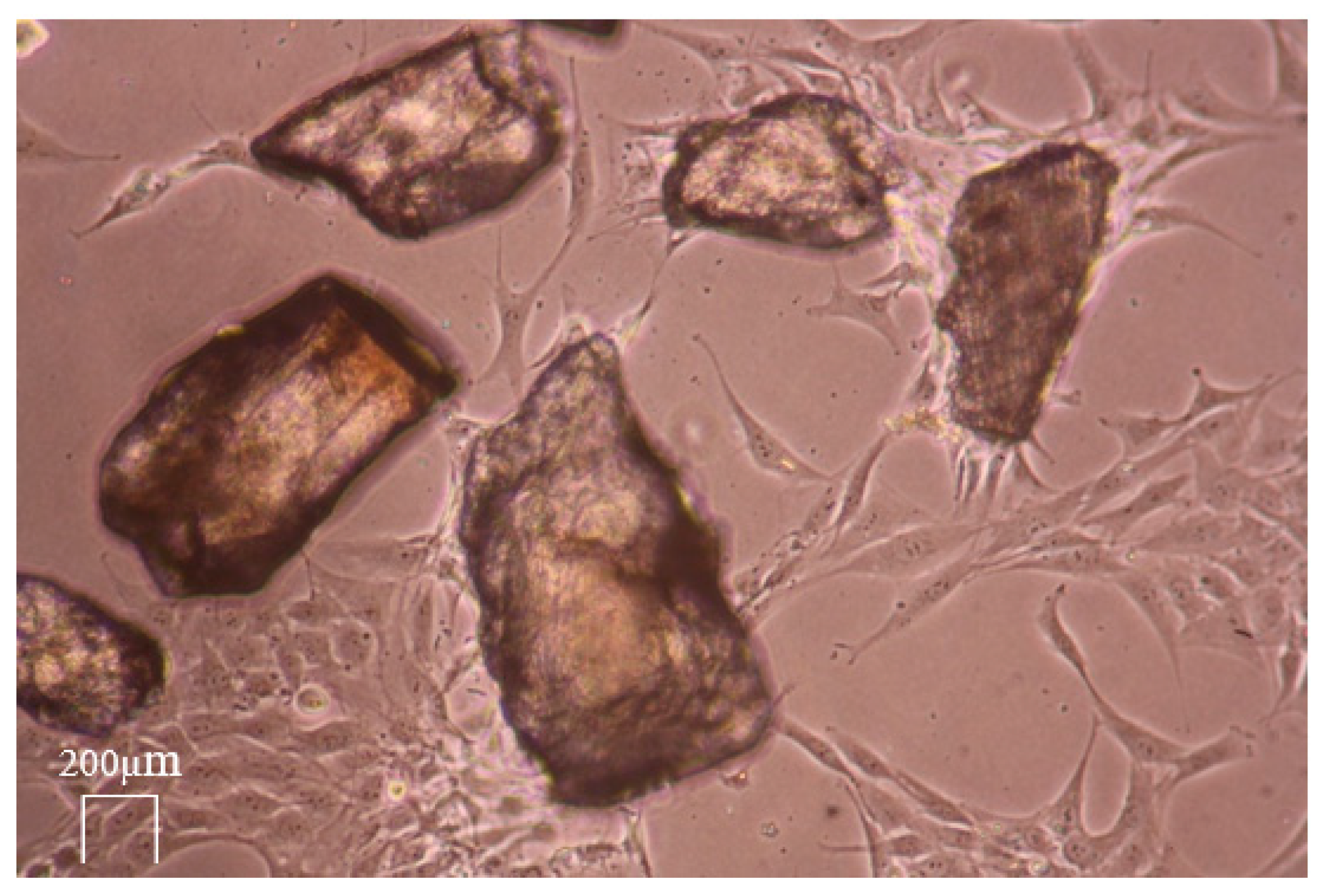 Biology 13 00040 g011