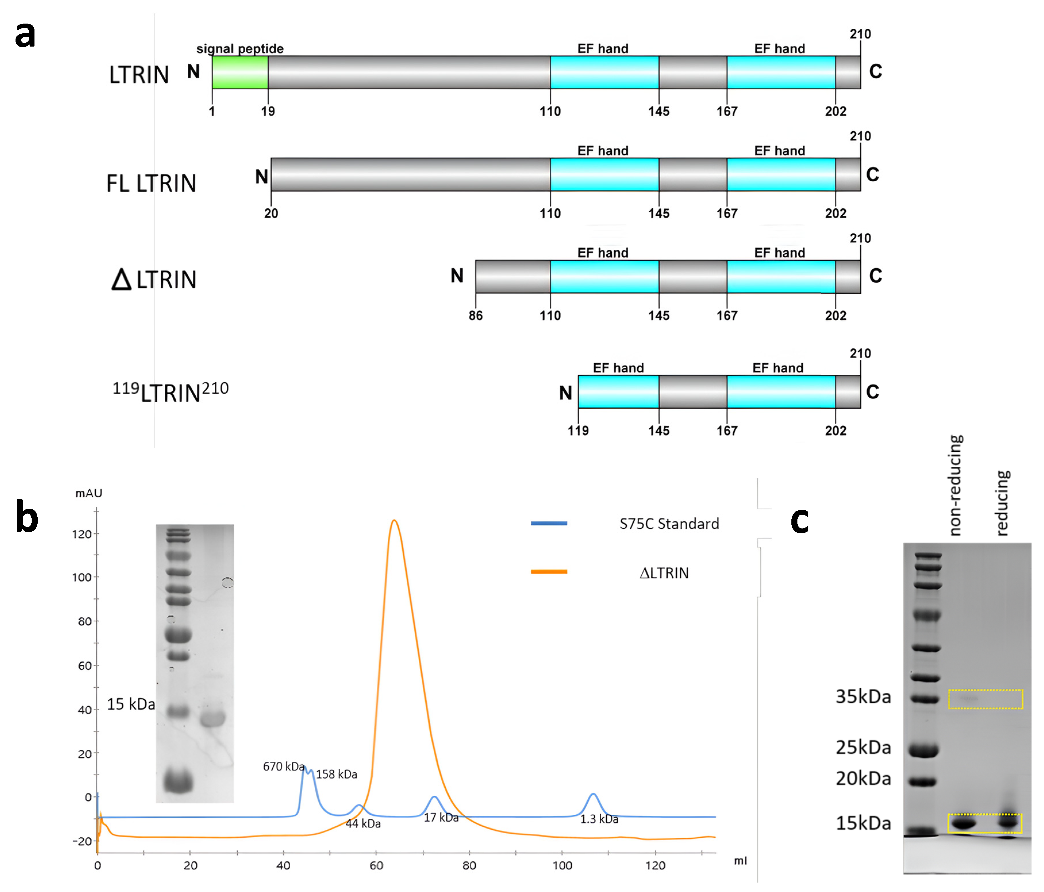 Biology 13 00042 g002 Biology 13 00042 g002