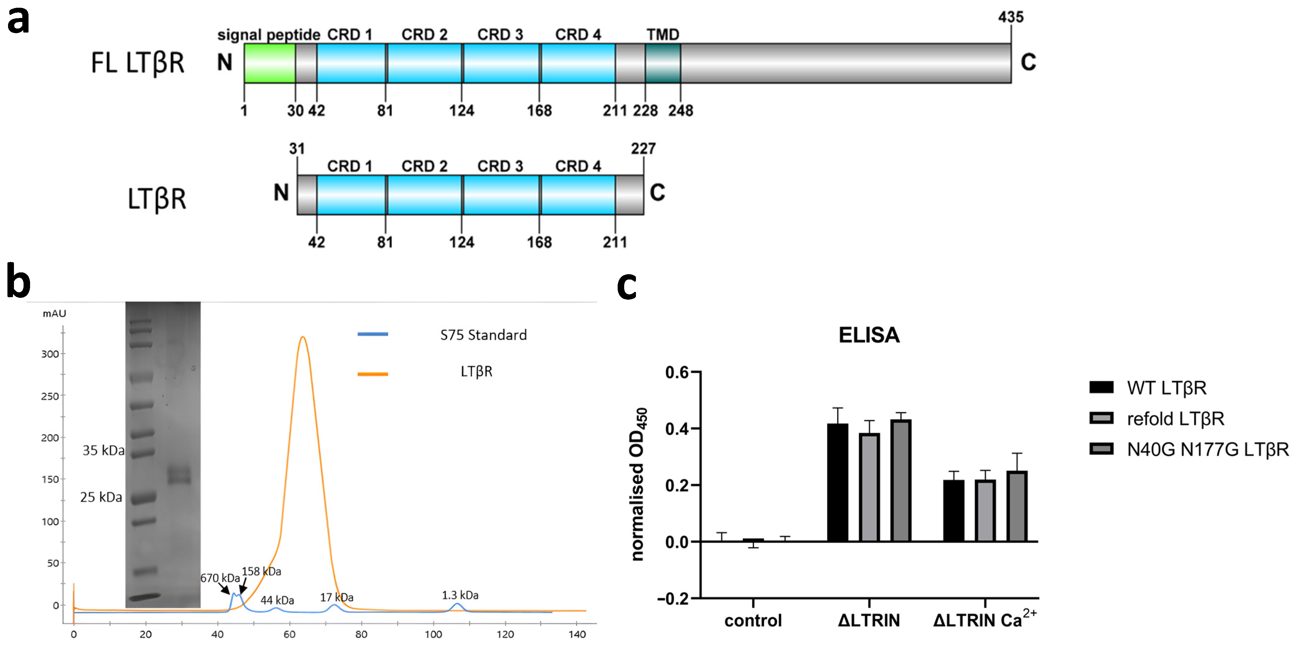 Biology 13 00042 g004 Biology 13 00042 g004